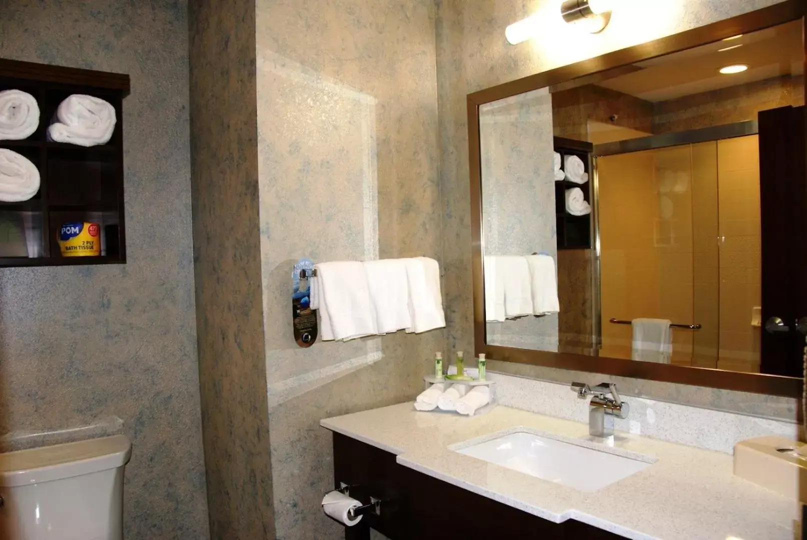 Bathroom in Holiday Inn Express & Suites St Louis Airport, an IHG Hotel