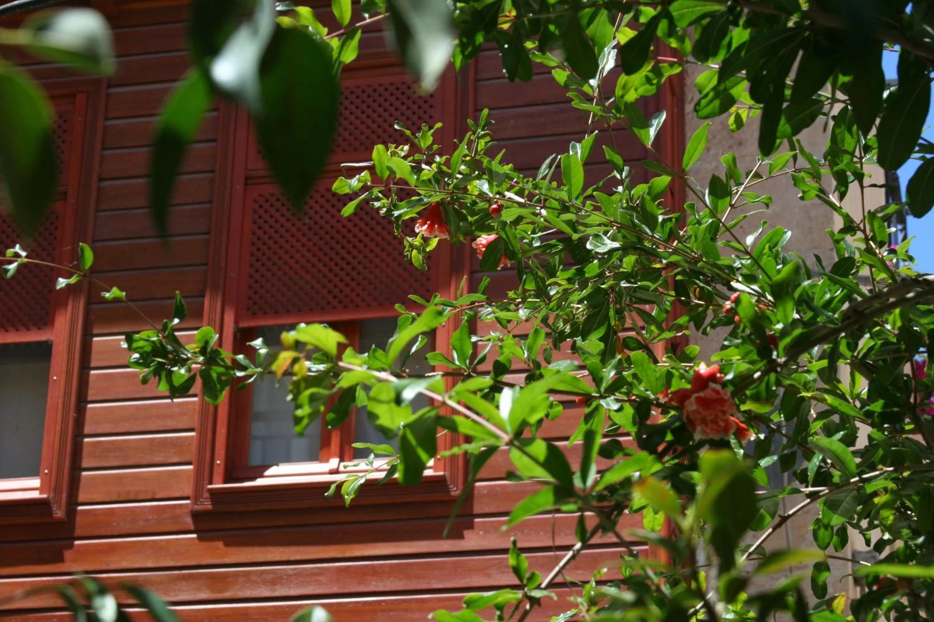 Facade/entrance in Ionas Boutique Hotel