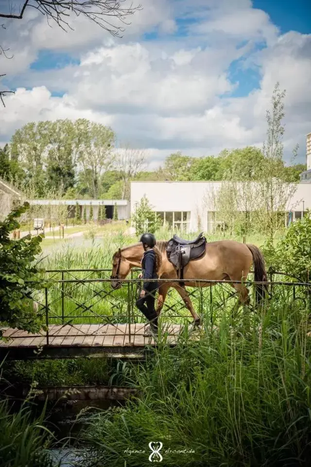 Activities, Horseback Riding in Le Grand Pavillon Chantilly