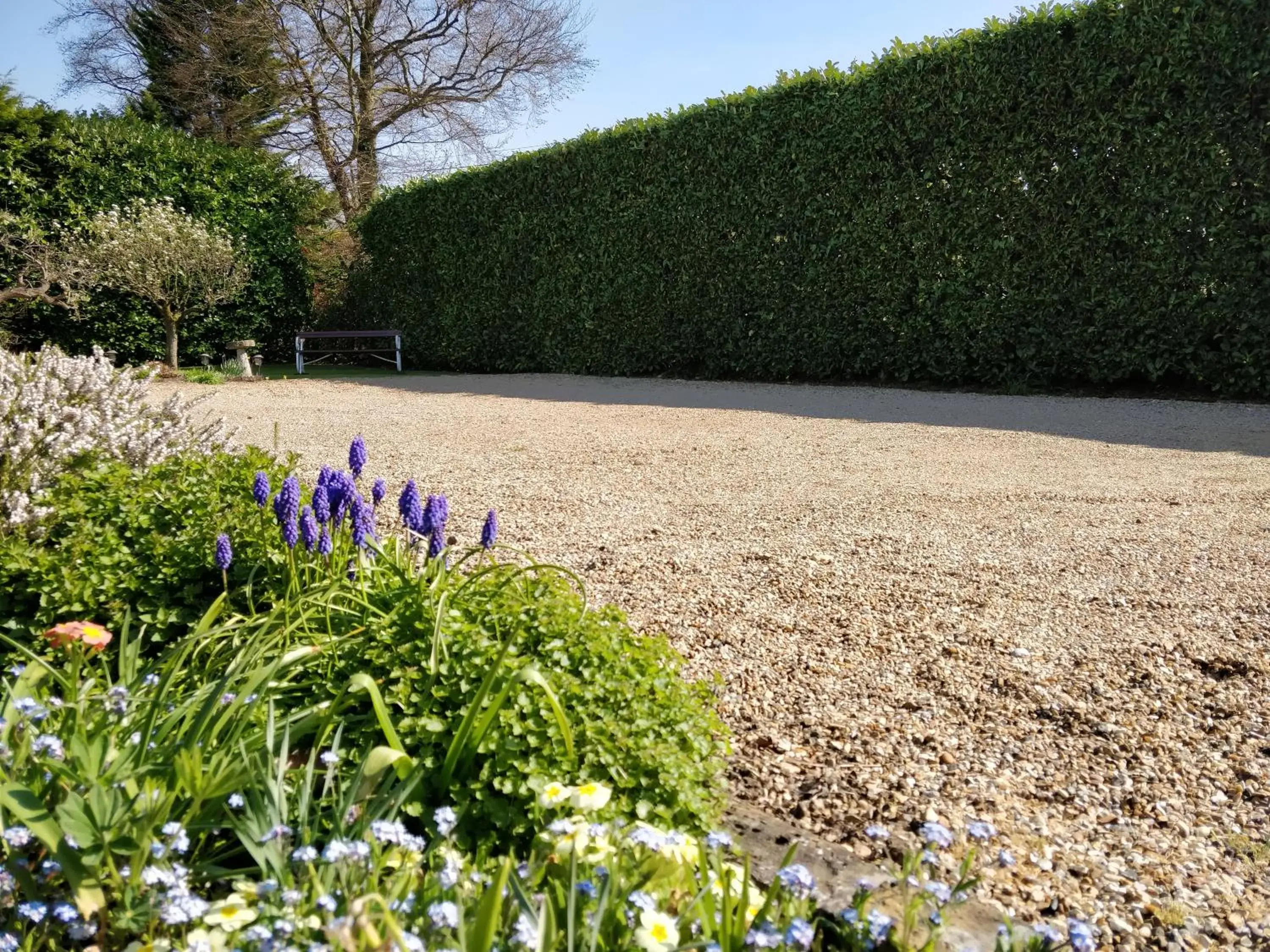 Garden in Pinfield Boutique Hotel