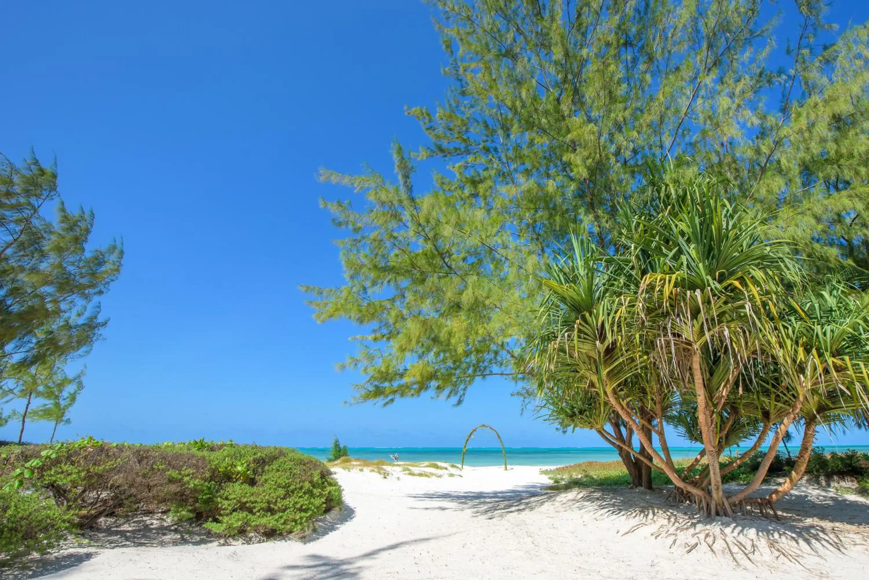 Property building, Beach in Hakuna Majiwe Beach Lodge Zanzibar