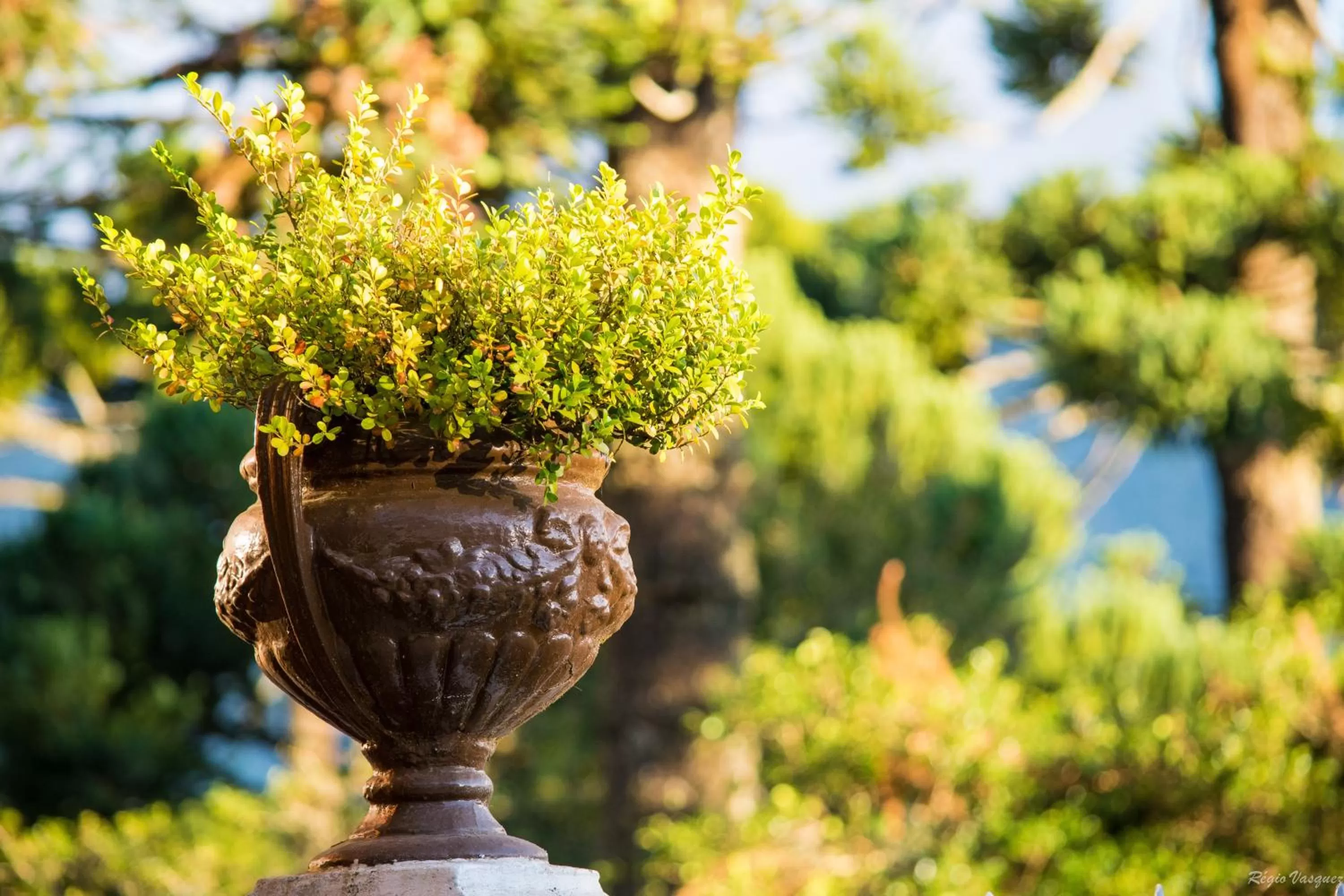 Garden in Pousada Ricanto Amore Mio