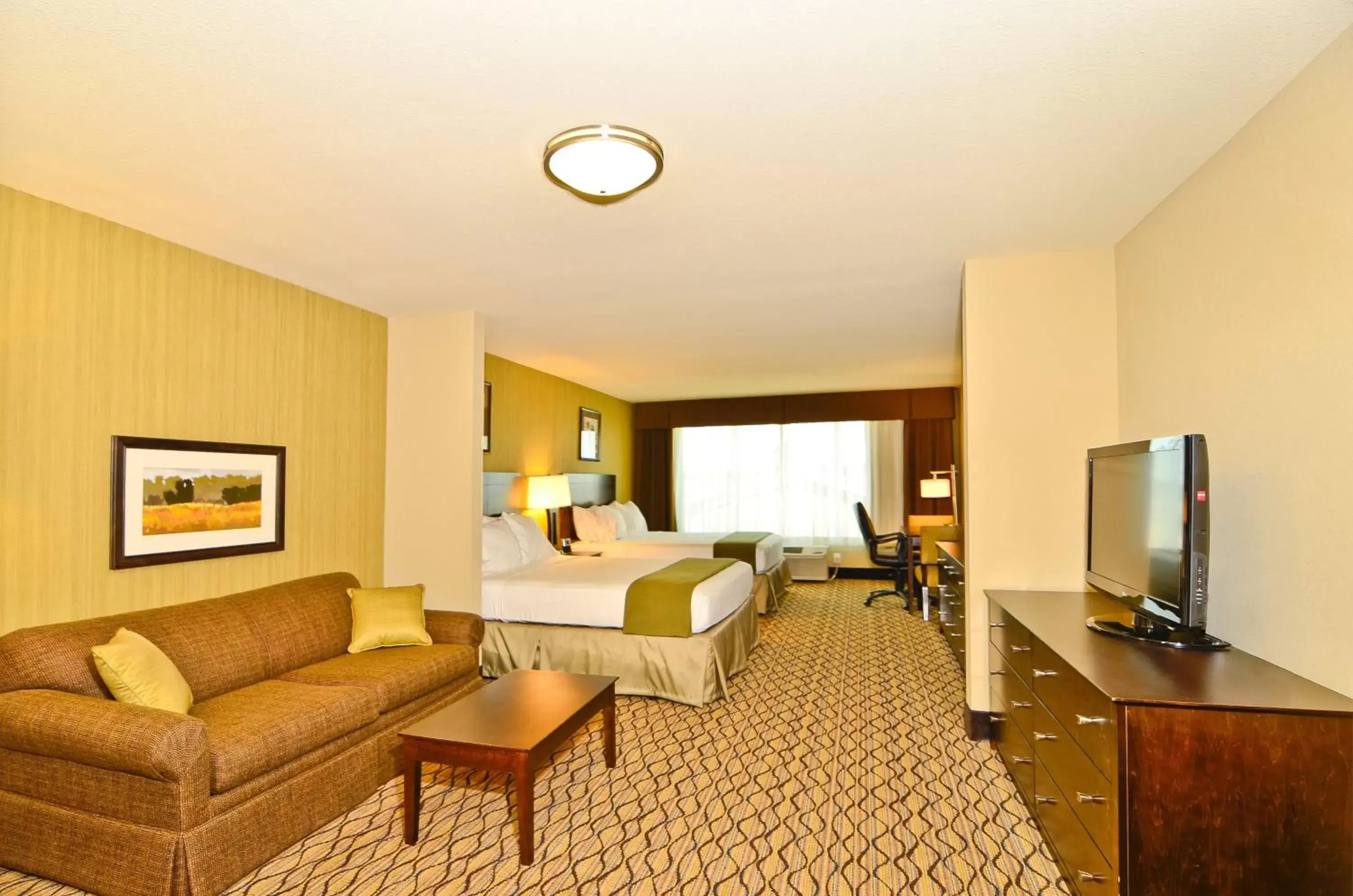 Photo of the whole room in Holiday Inn Express & Suites - Williston, an IHG Hotel