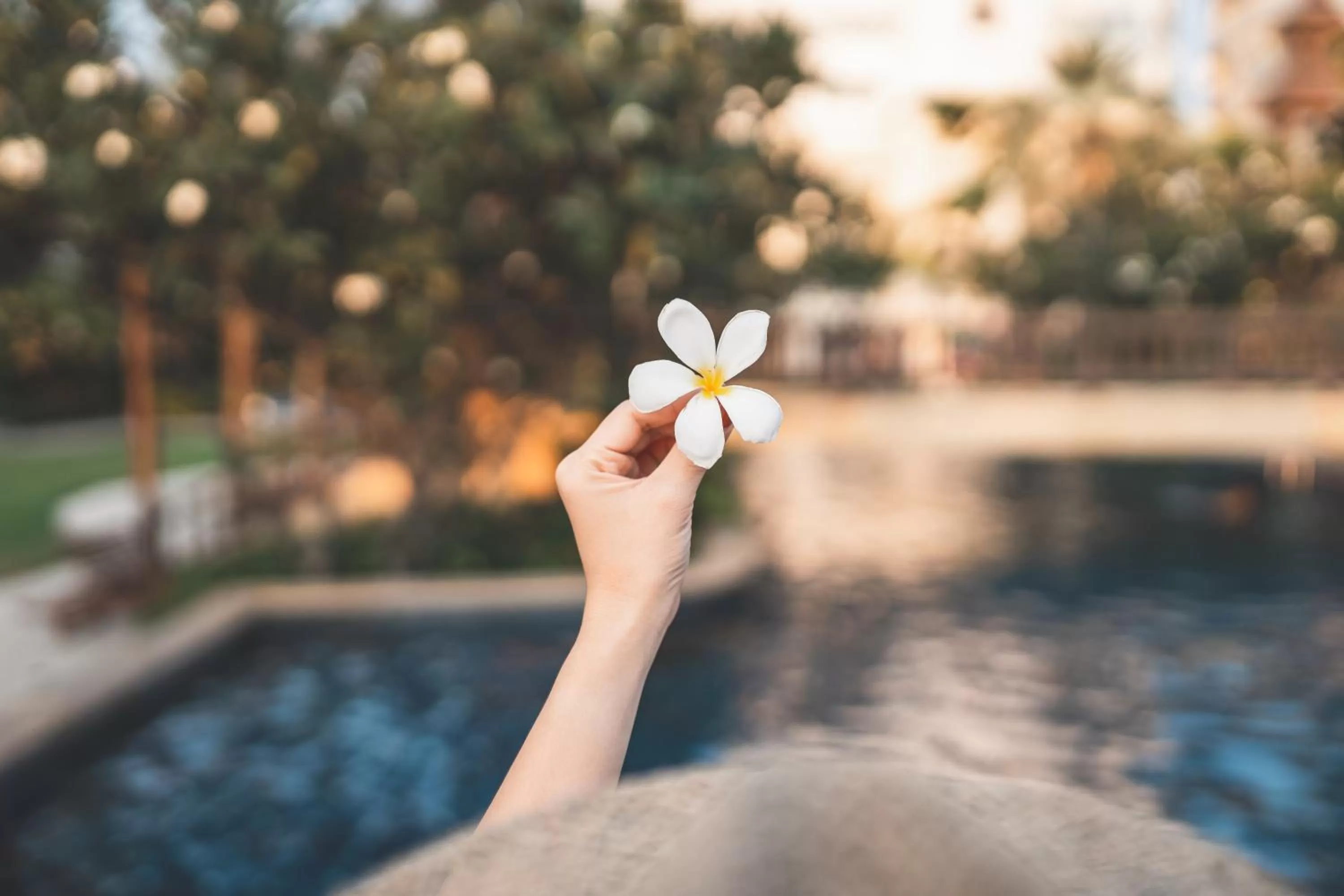 Jomtien Palm Beach Hotel and Resort