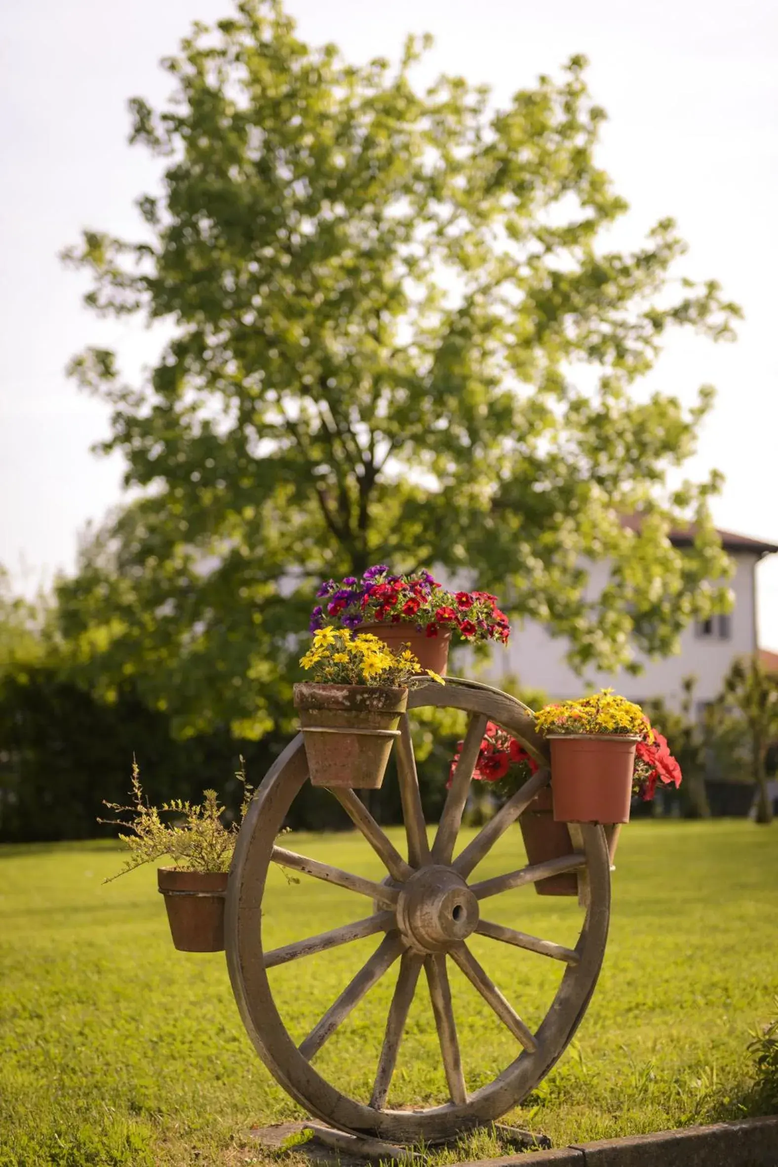 Decorative detail, Garden in Relais Leon d'Oro