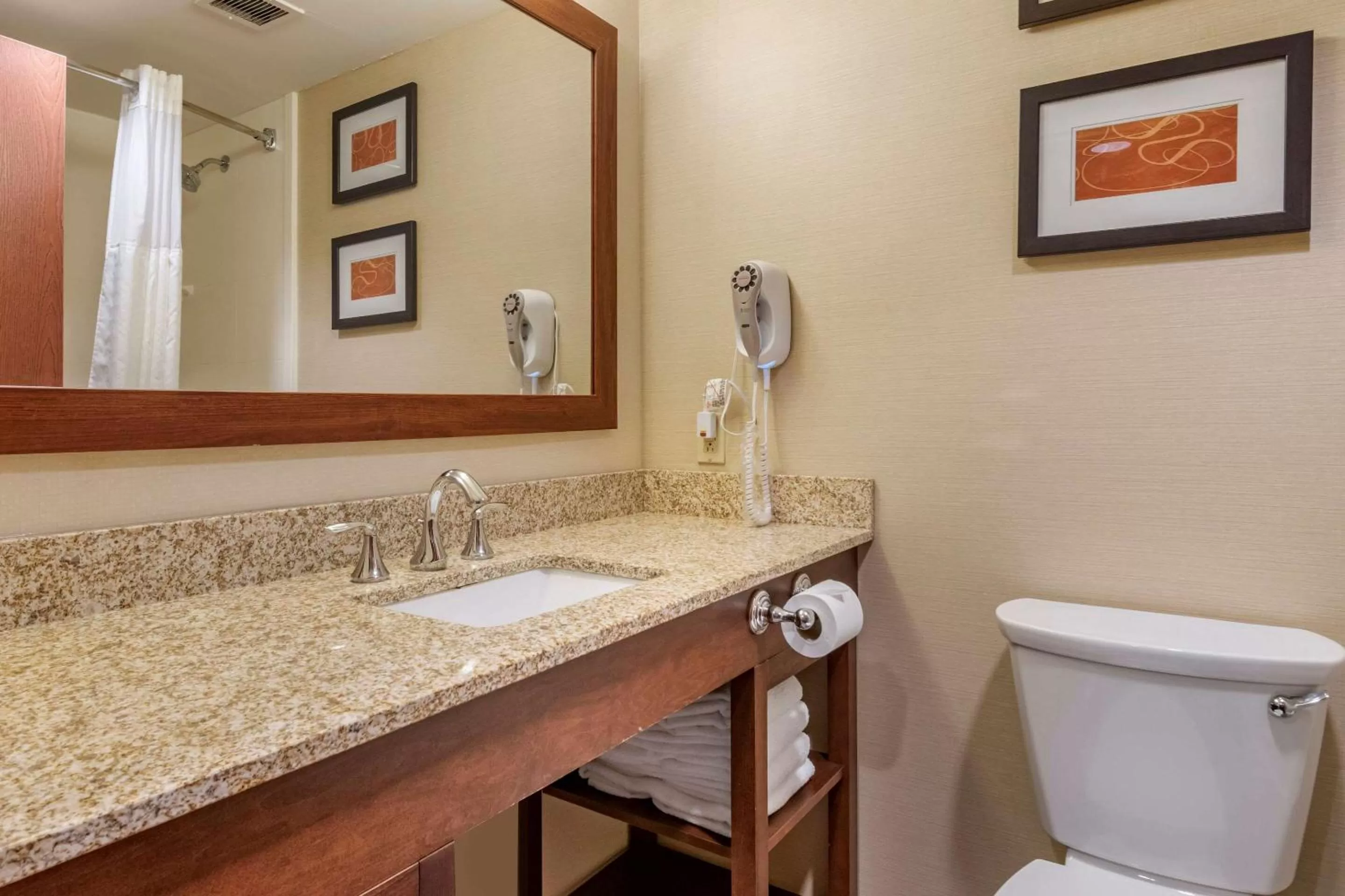 Bathroom in Comfort Suites Downtown Carlisle