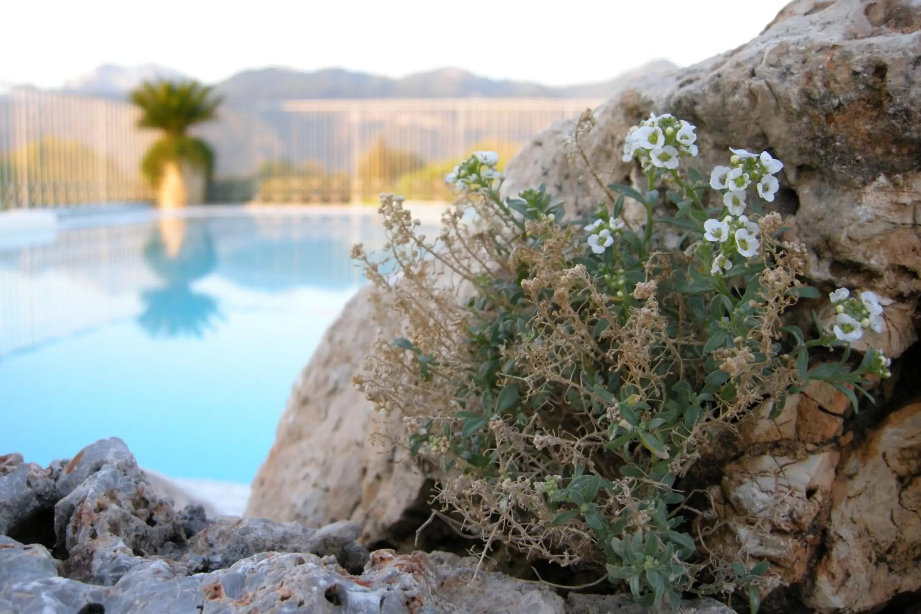 Swimming pool in Verdeluna ApartHotel