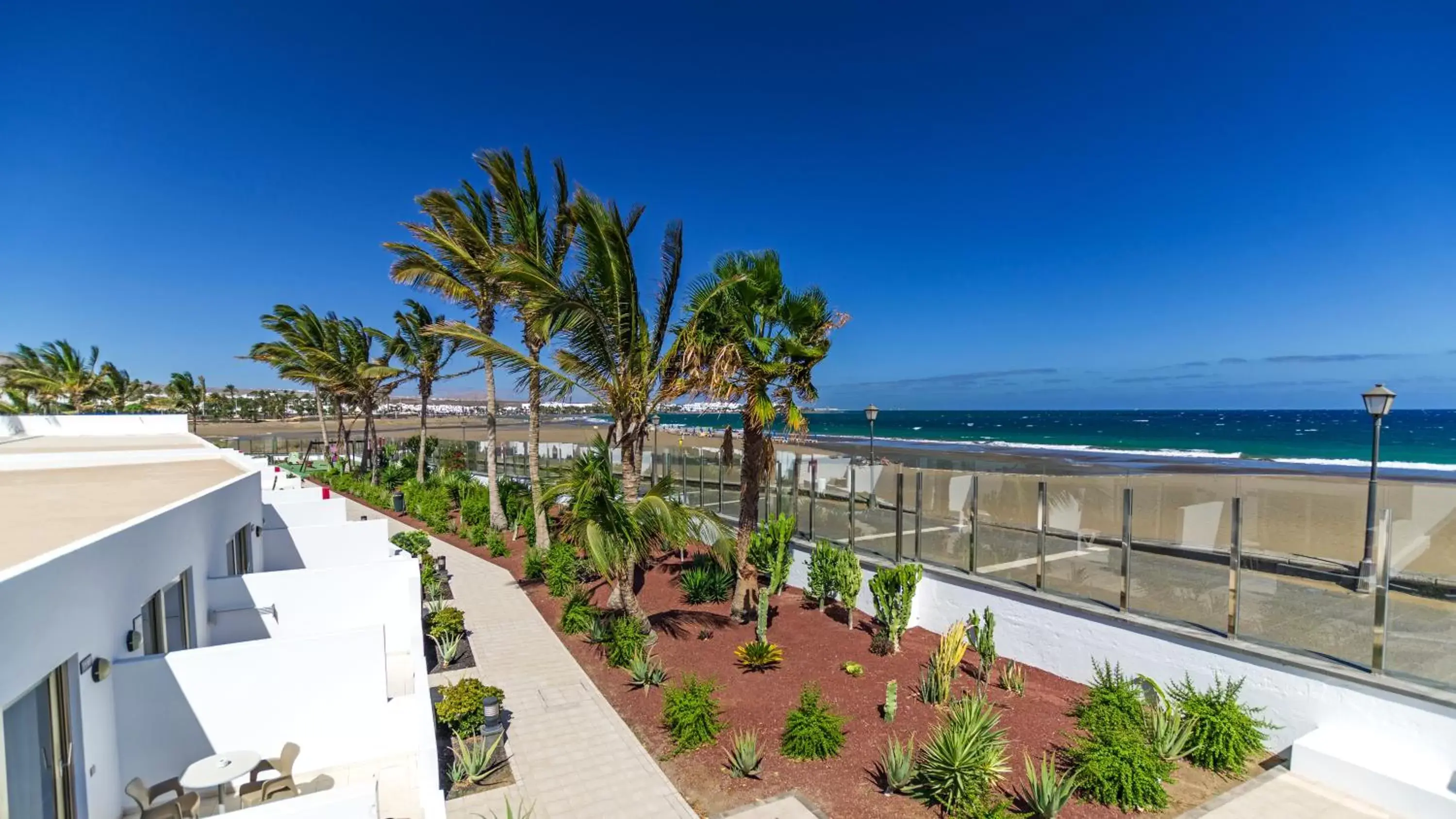 Garden in Hotel Las Costas