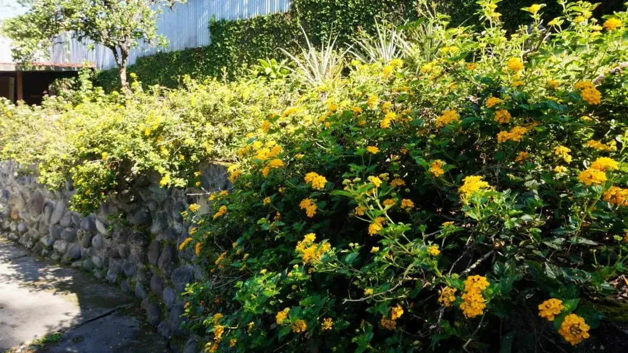 Facade/entrance, Garden in Hospedaje La Naciente