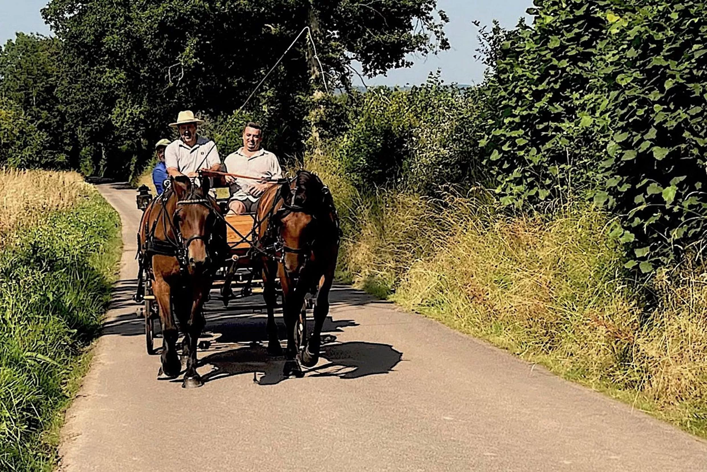 Activities in L'Herbe aux Vaches