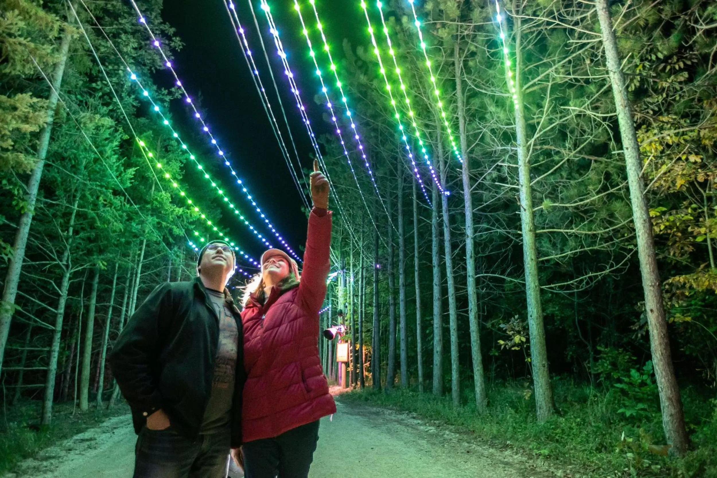 Night in Blue Mountain Resort Home Collection