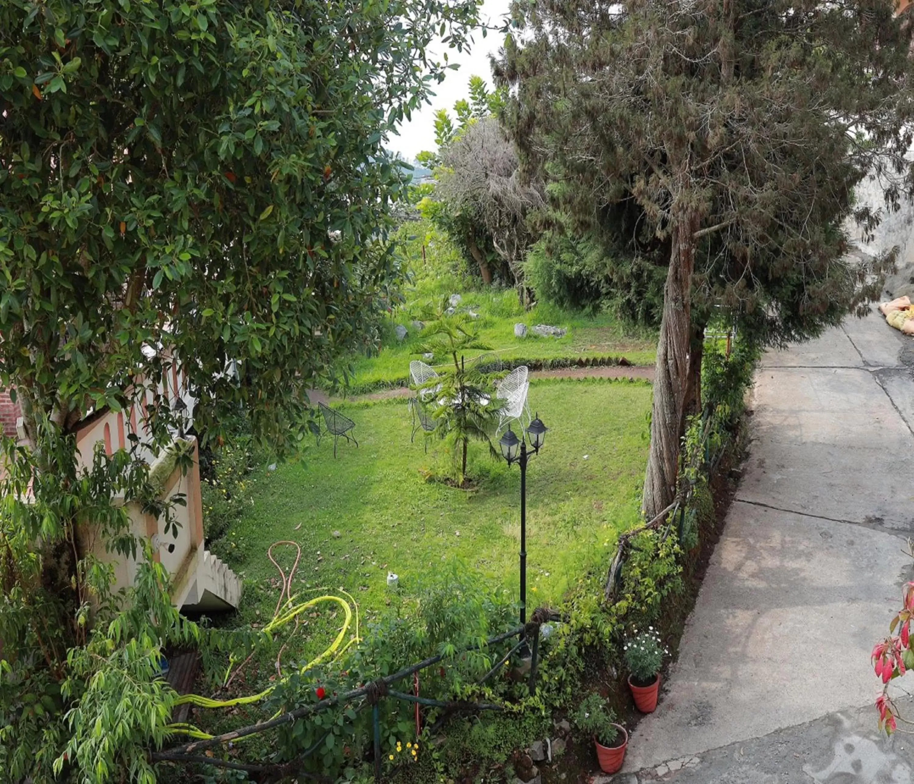 Garden view in Mango Hill Kodai Garden view in Mango Hill Kodai