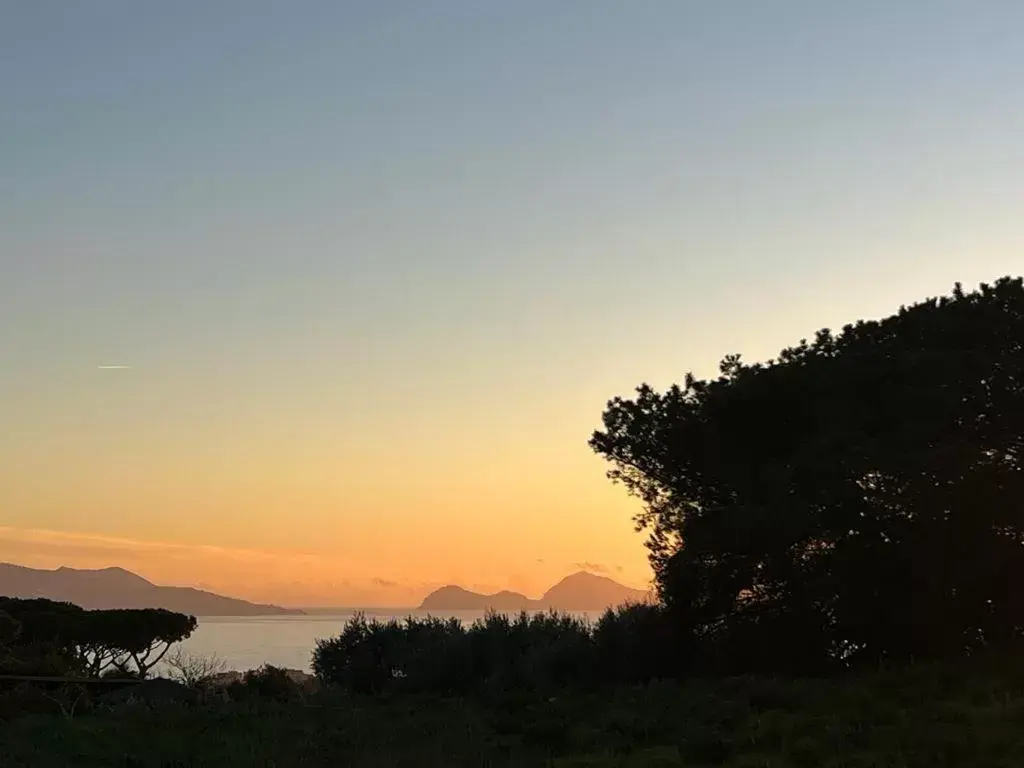 Natural landscape, Sunrise/Sunset in Bosco Mattavona