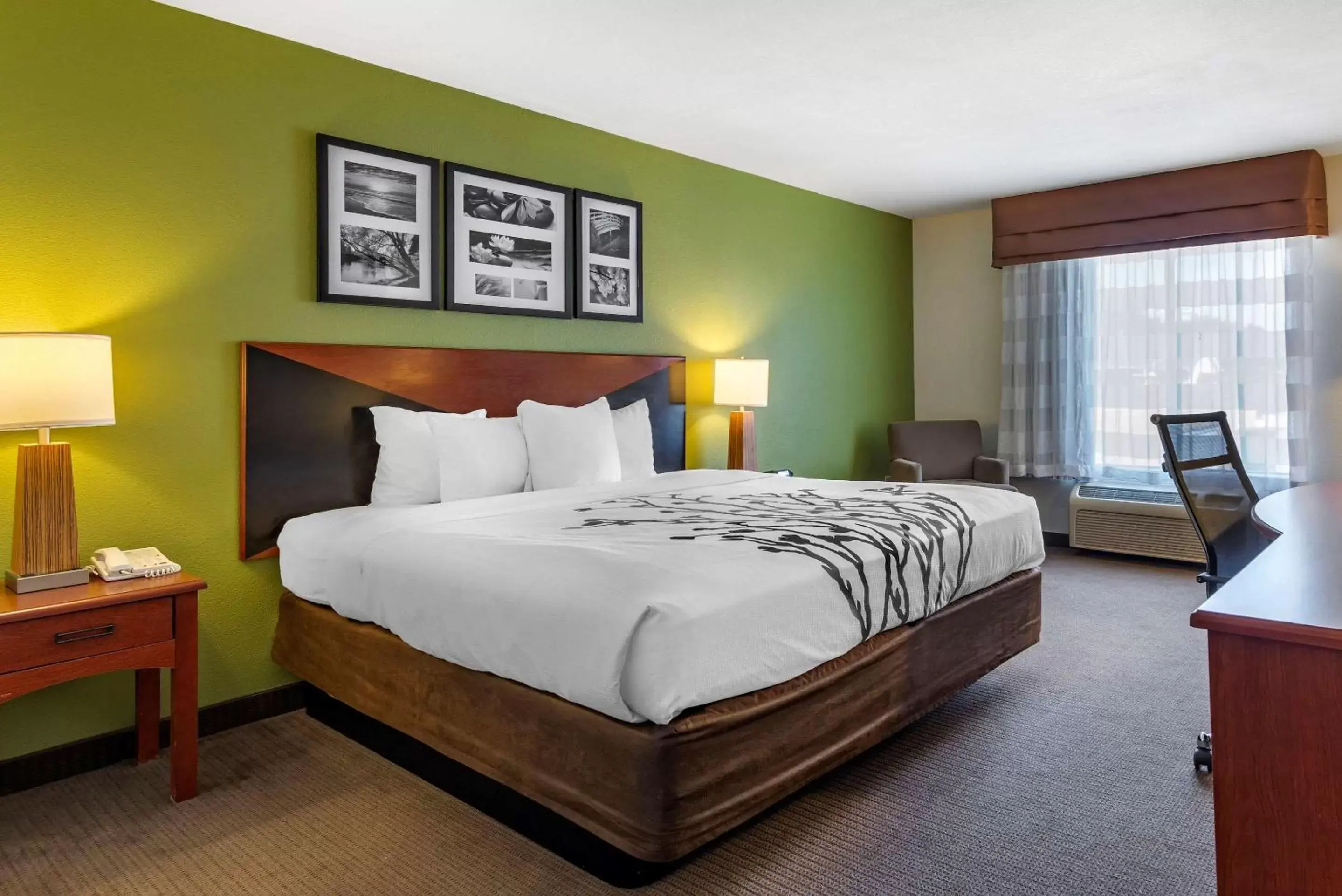 Photo of the whole room, Bed in Sleep Inn & Suites Stockbridge Atlanta South