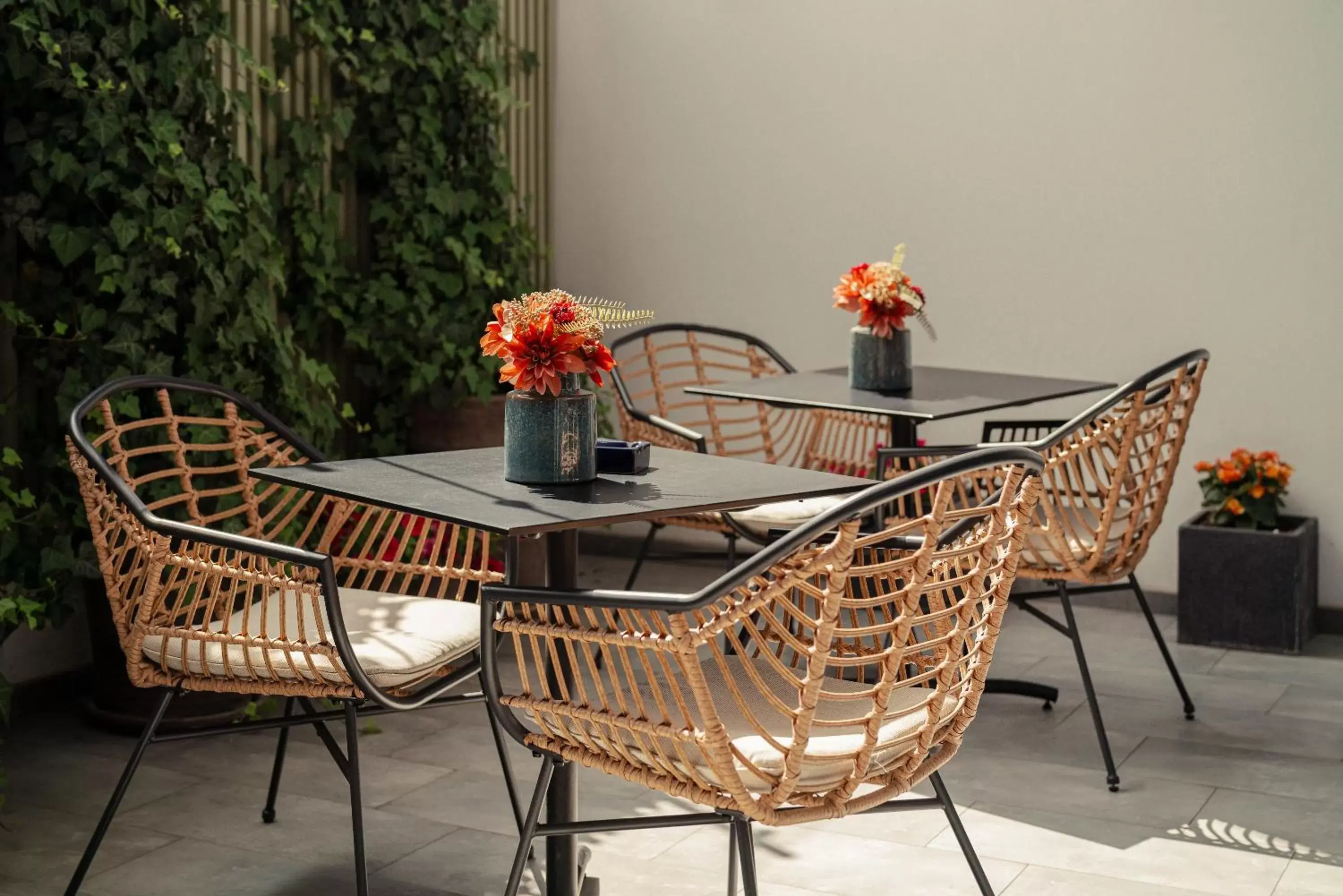 Patio, Dining Area in Hotel Faros