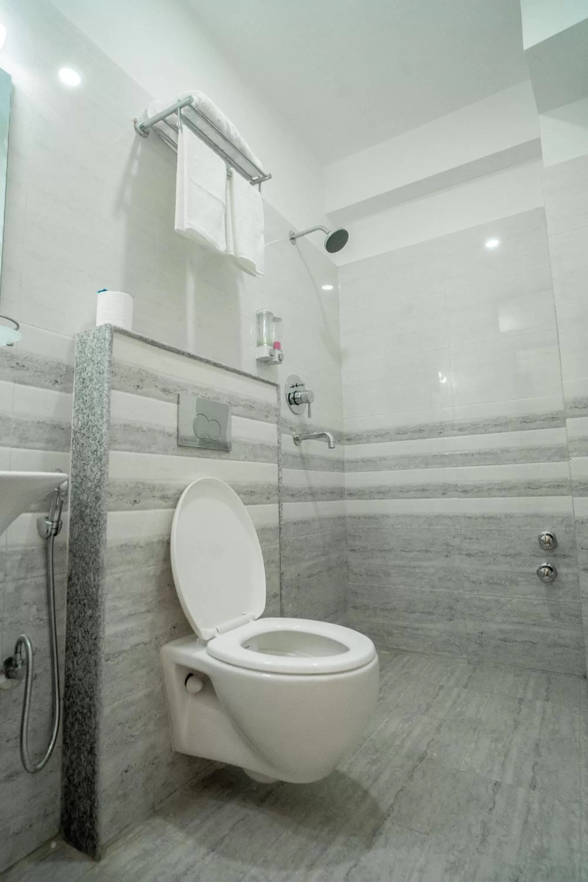 Toilet in Madhuban Hotel