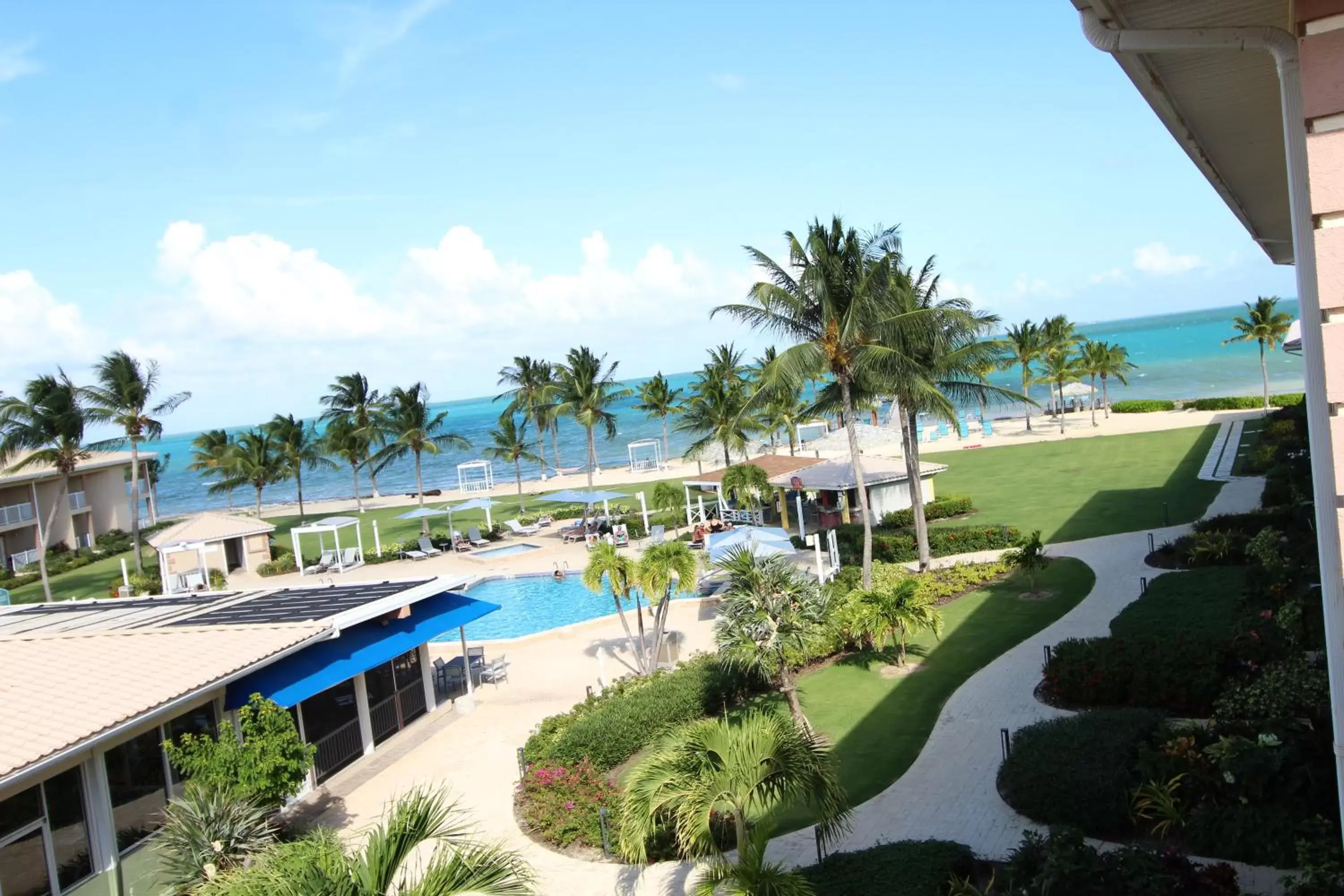 Pool View in Holiday Inn Resort Grand Cayman, an IHG Hotel