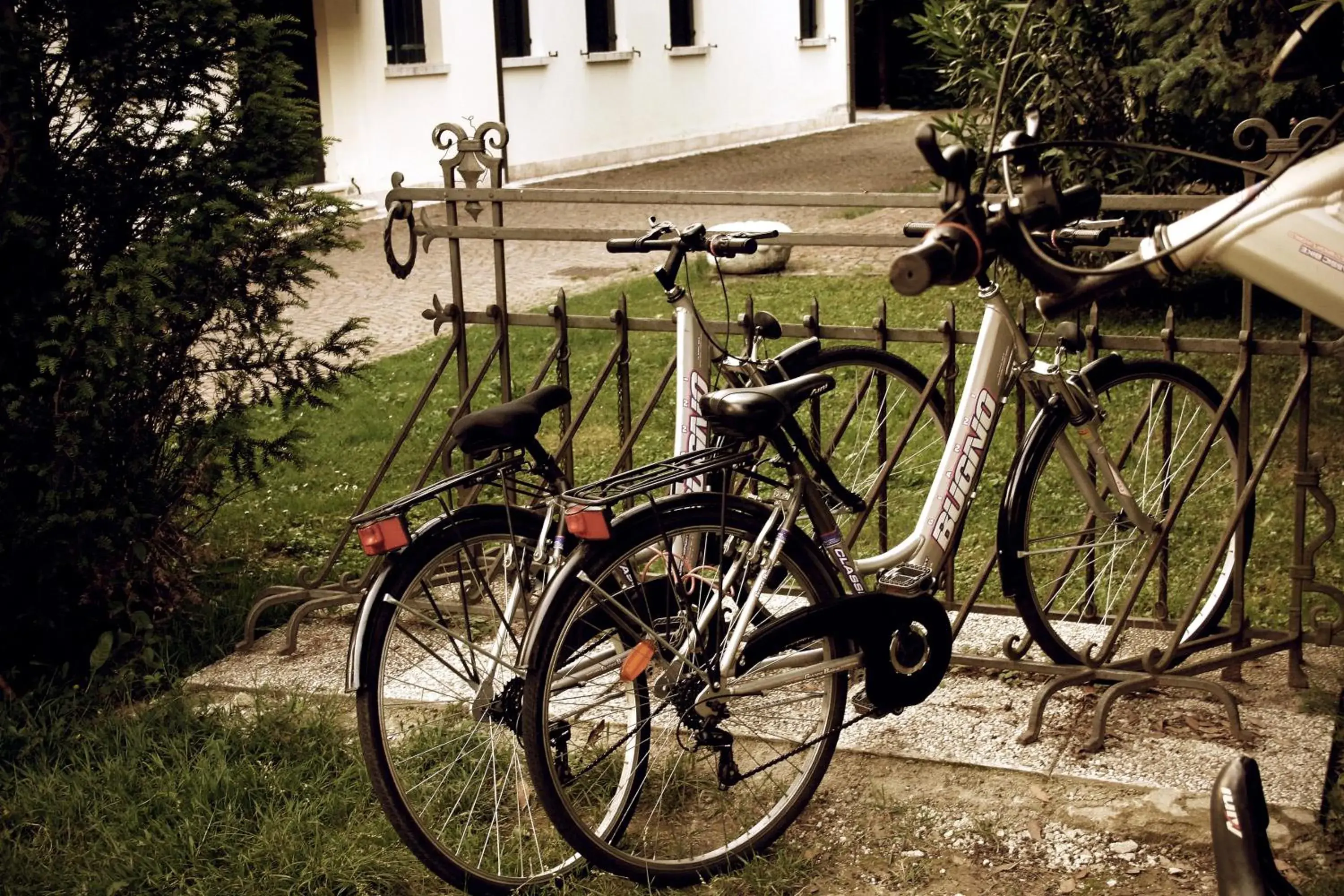 Hiking, Biking in Park Hotel Villa Giustinian