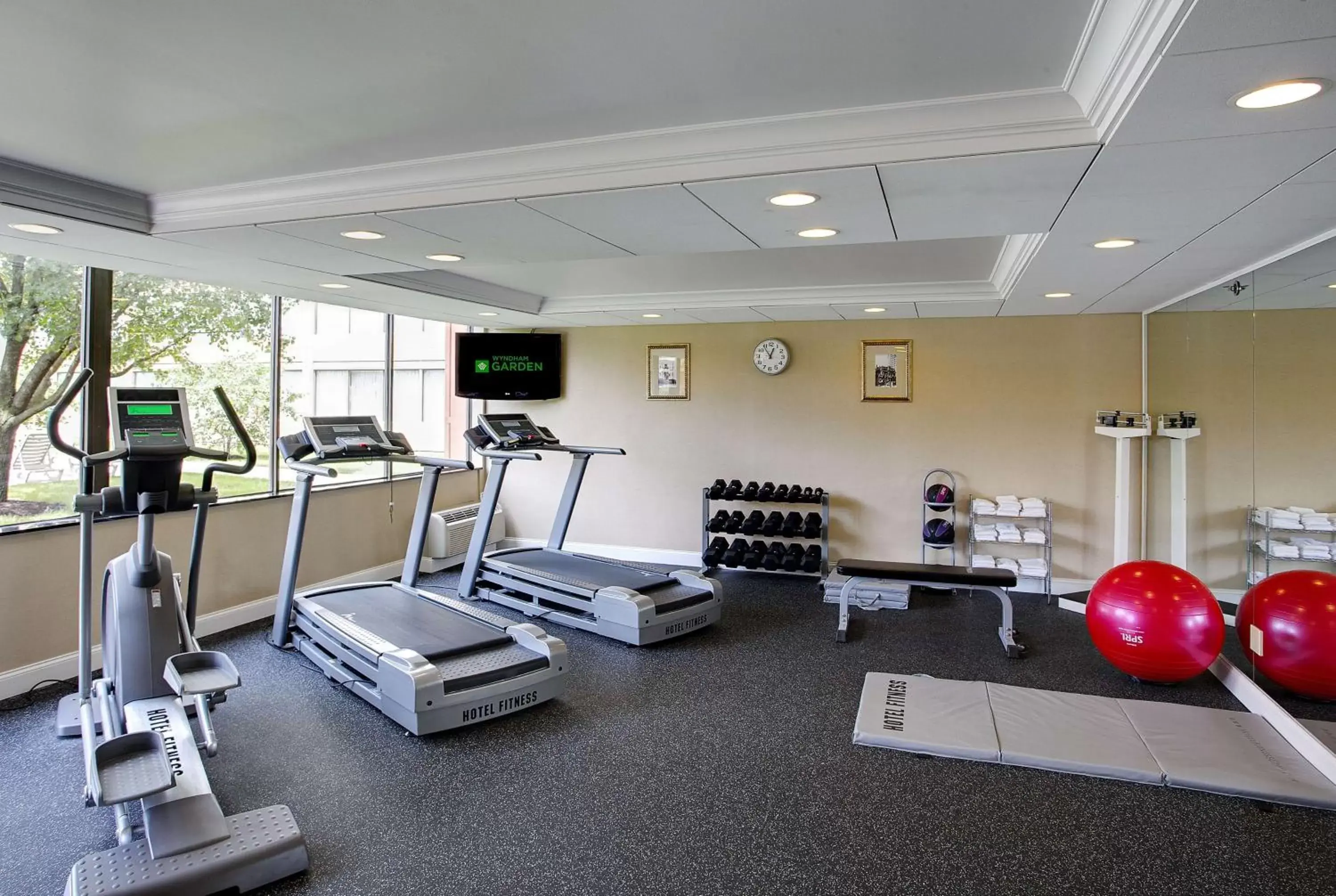 Fitness centre/facilities, Fitness Center/Facilities in Wyndham Garden Philadelphia Airport