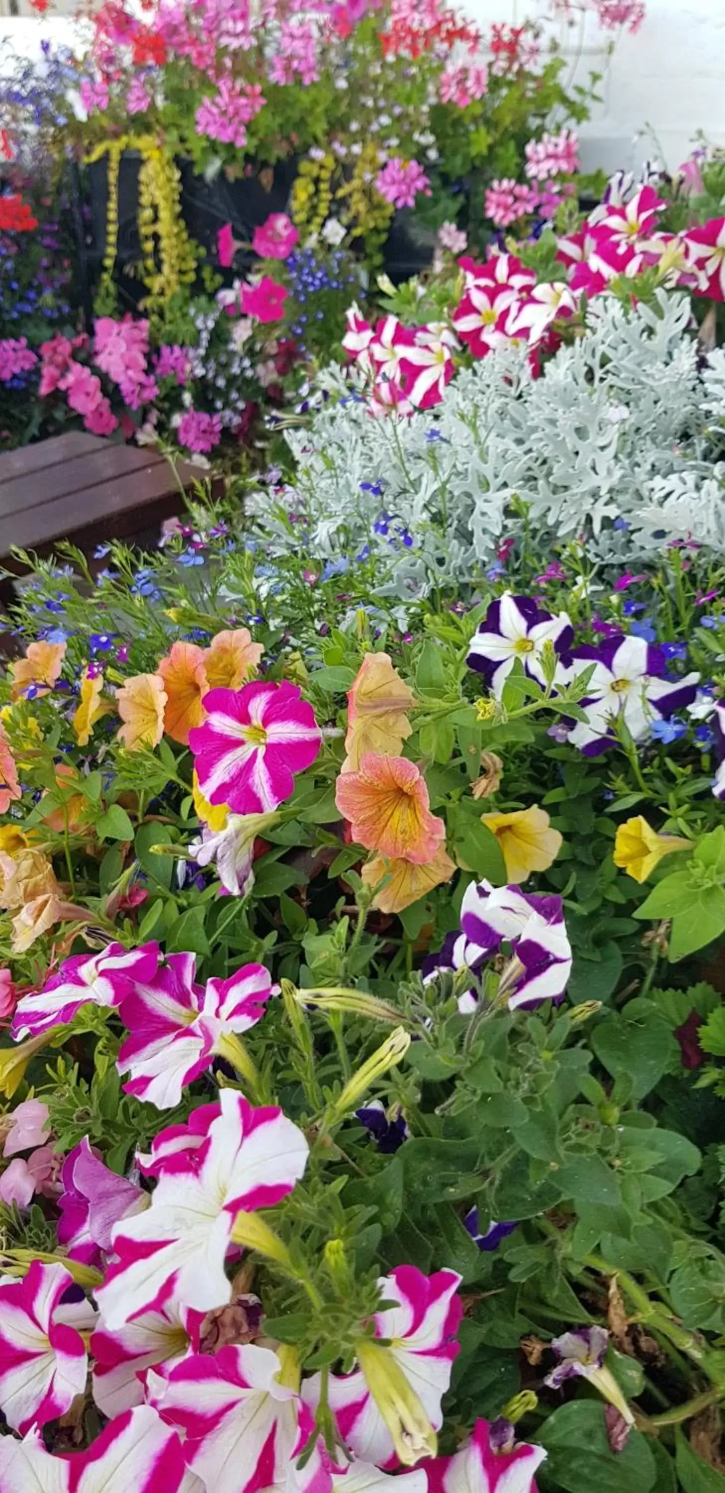 Decorative detail, Garden in Waterfront Hotel