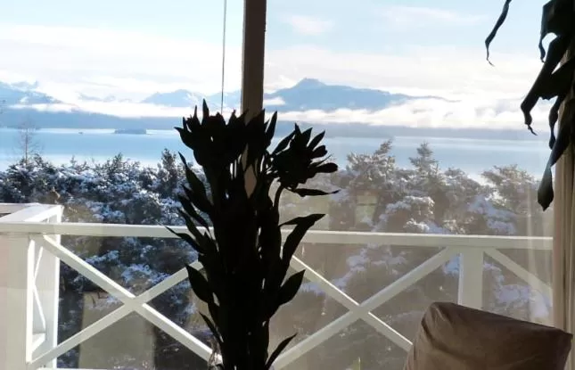 Mountain view in Halcyon Heights B&B/Inn