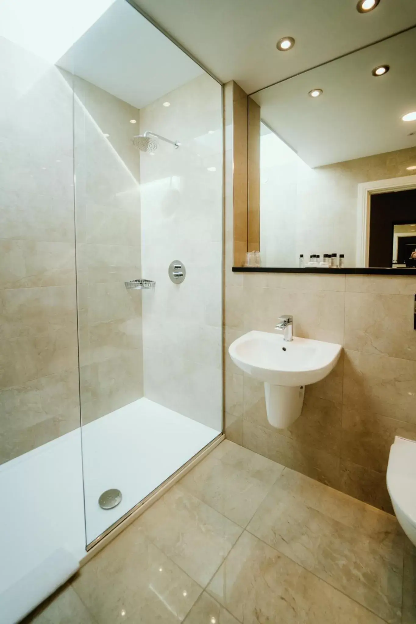 Shower, Bathroom in The Wyatt Hotel