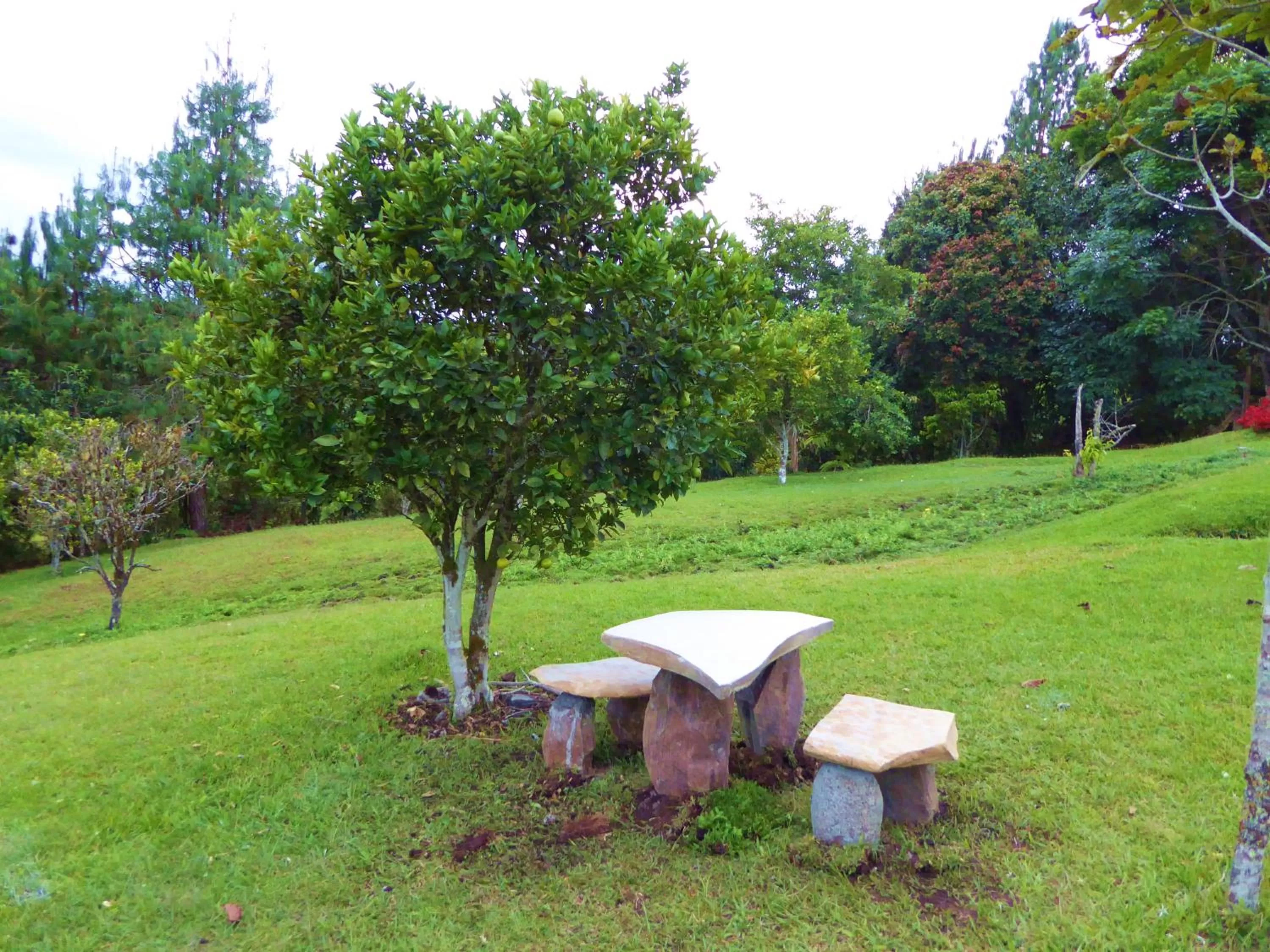 Garden in Finca El Cielo