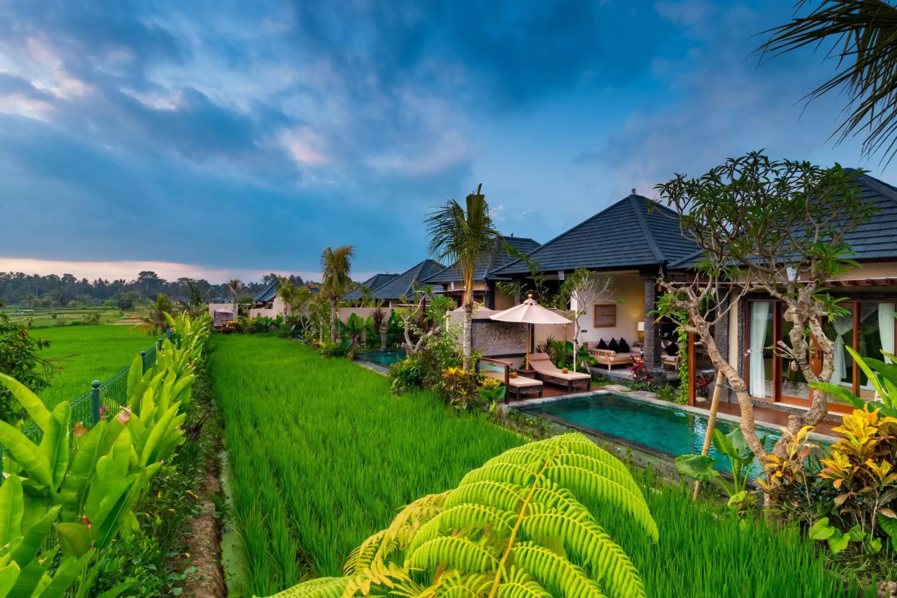 Garden, Swimming Pool in Bliss Ubud Spa Resort