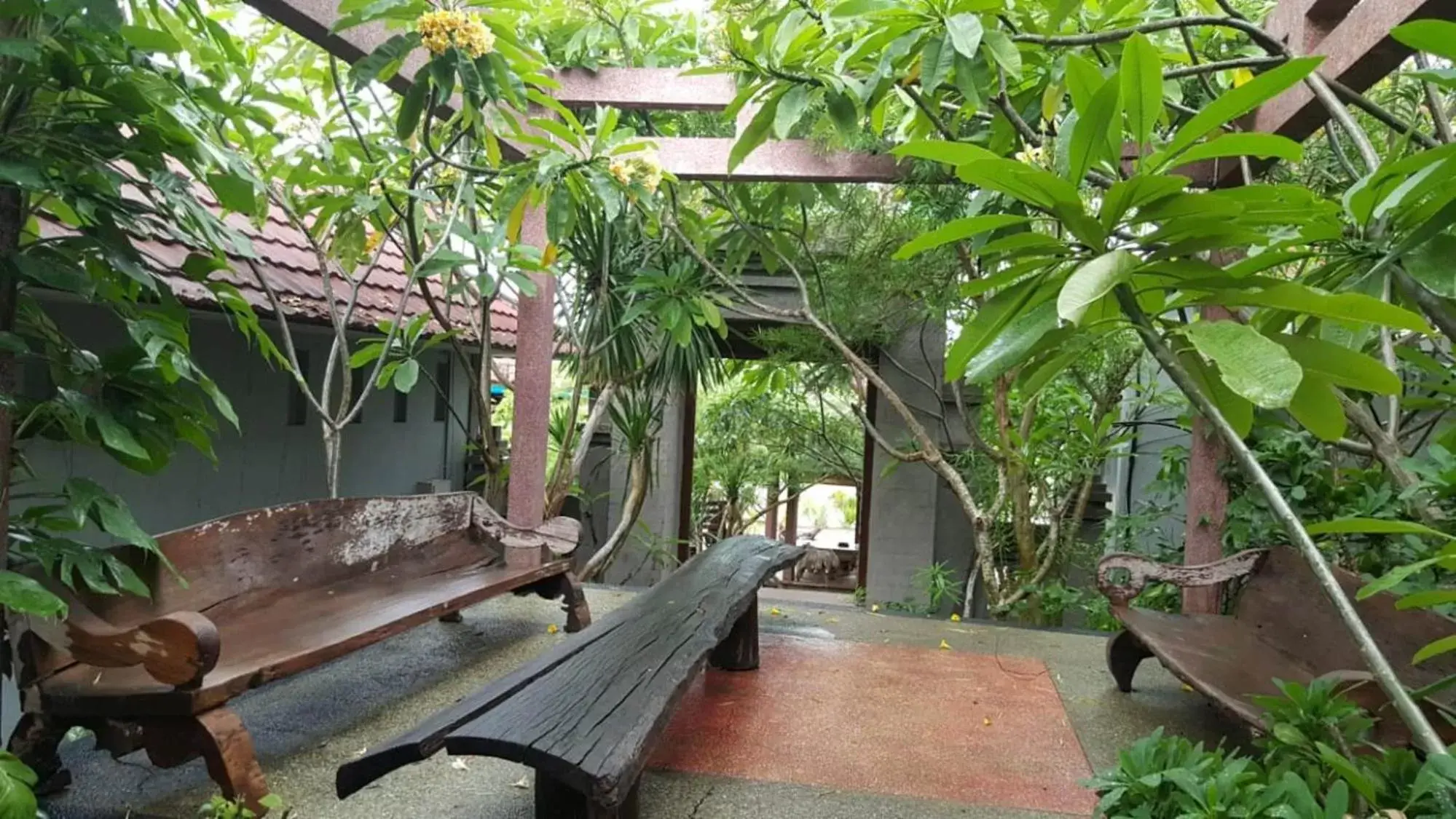 Garden view in Exotic Komodo Hotel