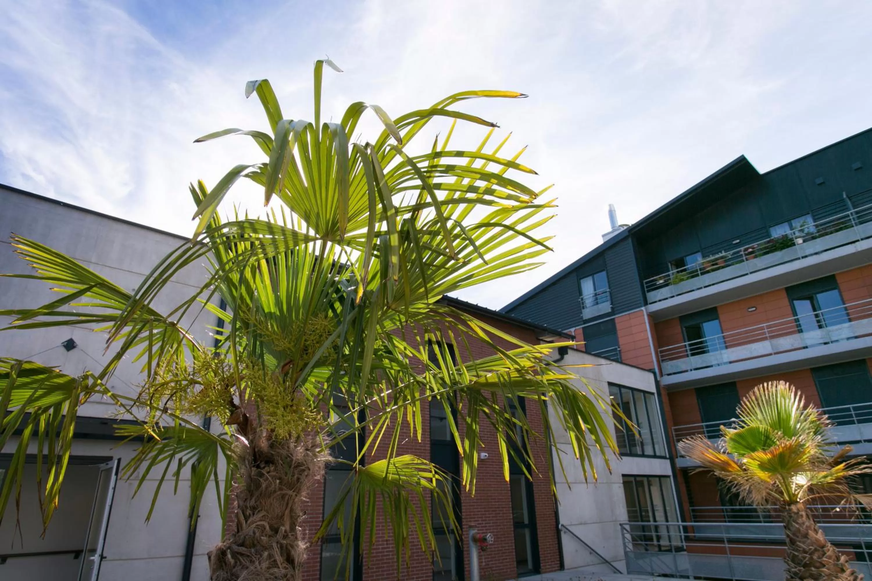 Property building in Zenao Appart'hôtels Troyes