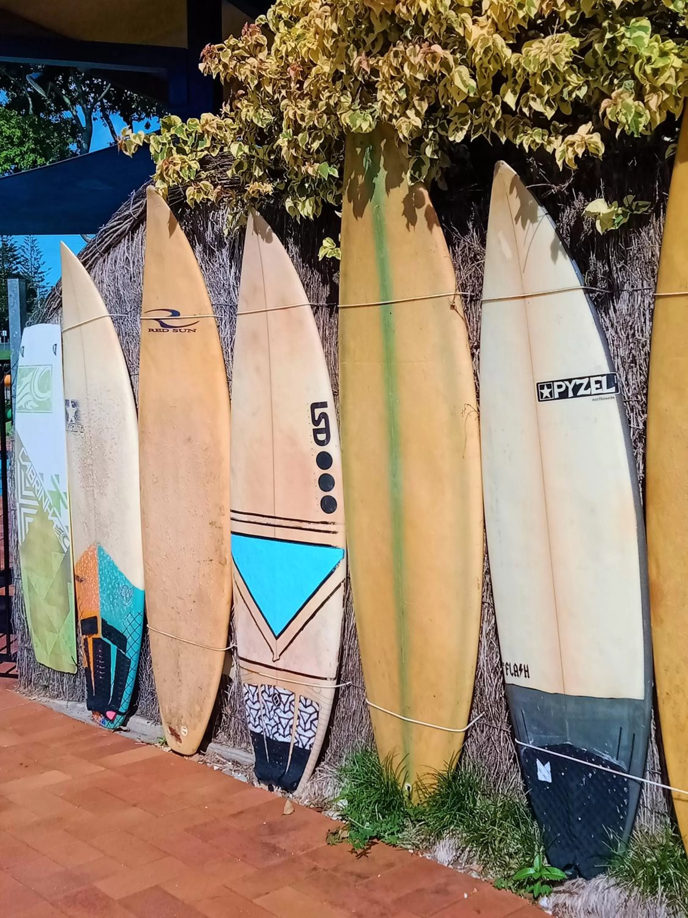 Activities in The Carmel Yamba