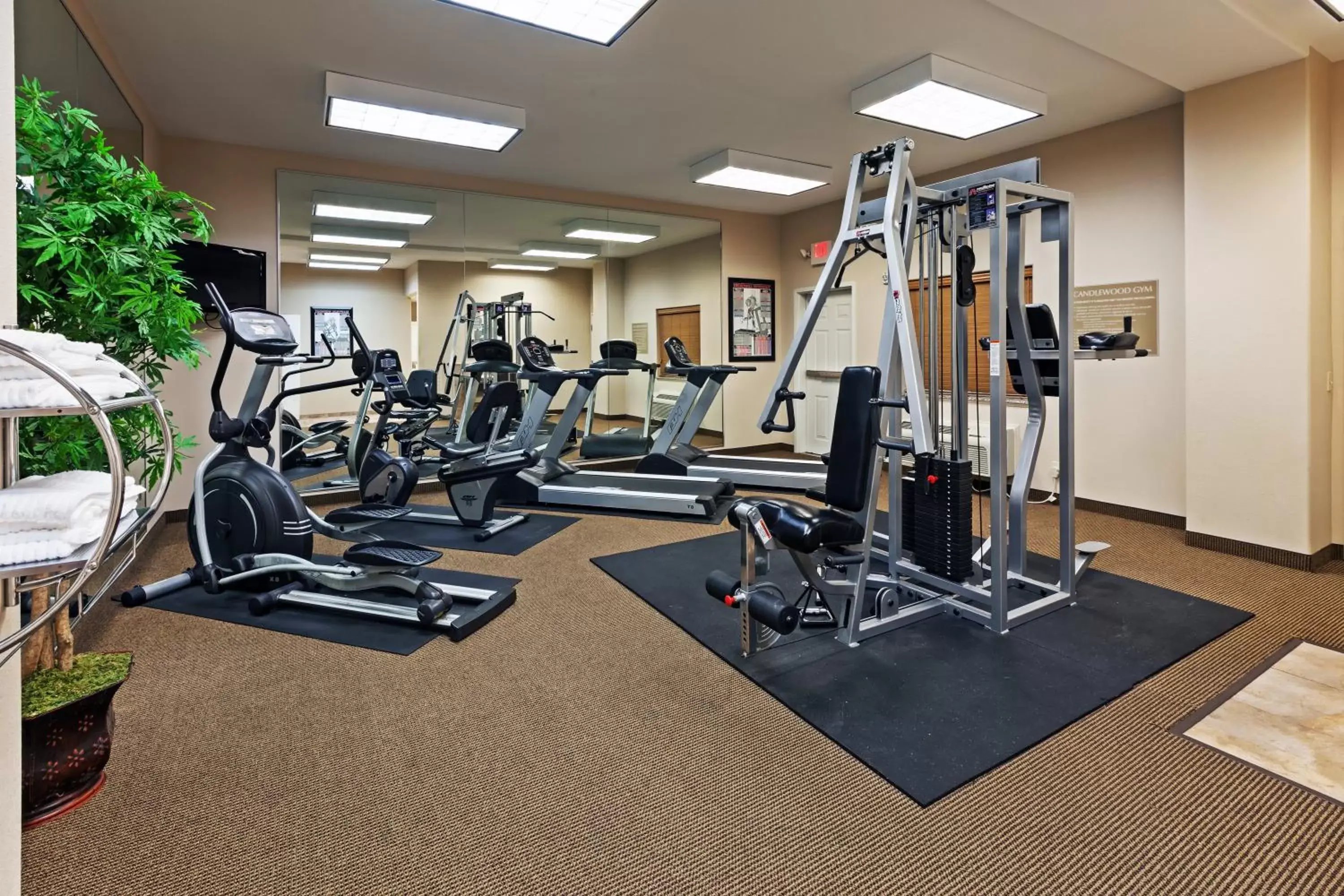 Fitness centre/facilities, Fitness Center/Facilities in Candlewood Suites Deer Park, an IHG Hotel