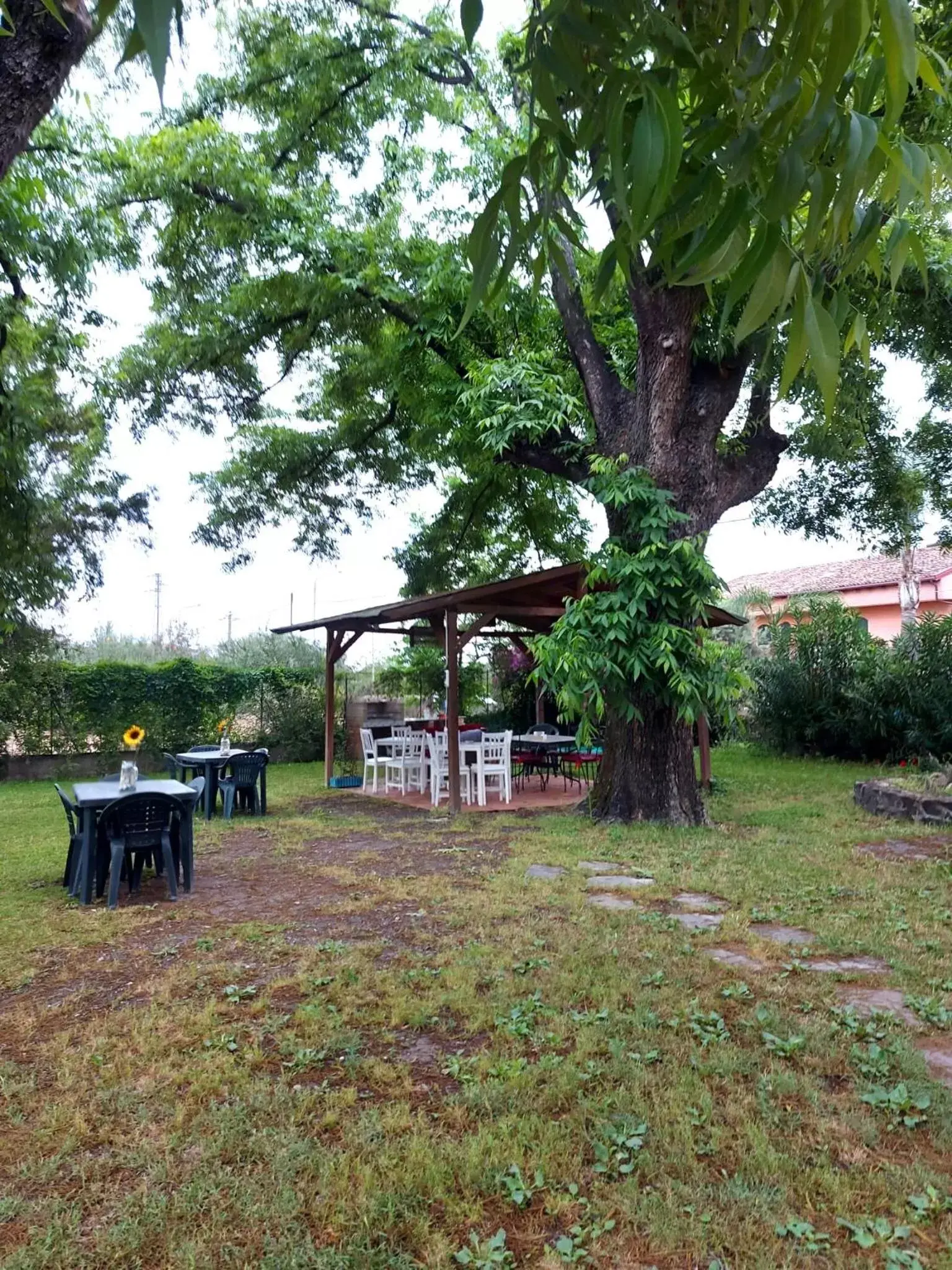 Natural landscape, Garden in Villa Nadira