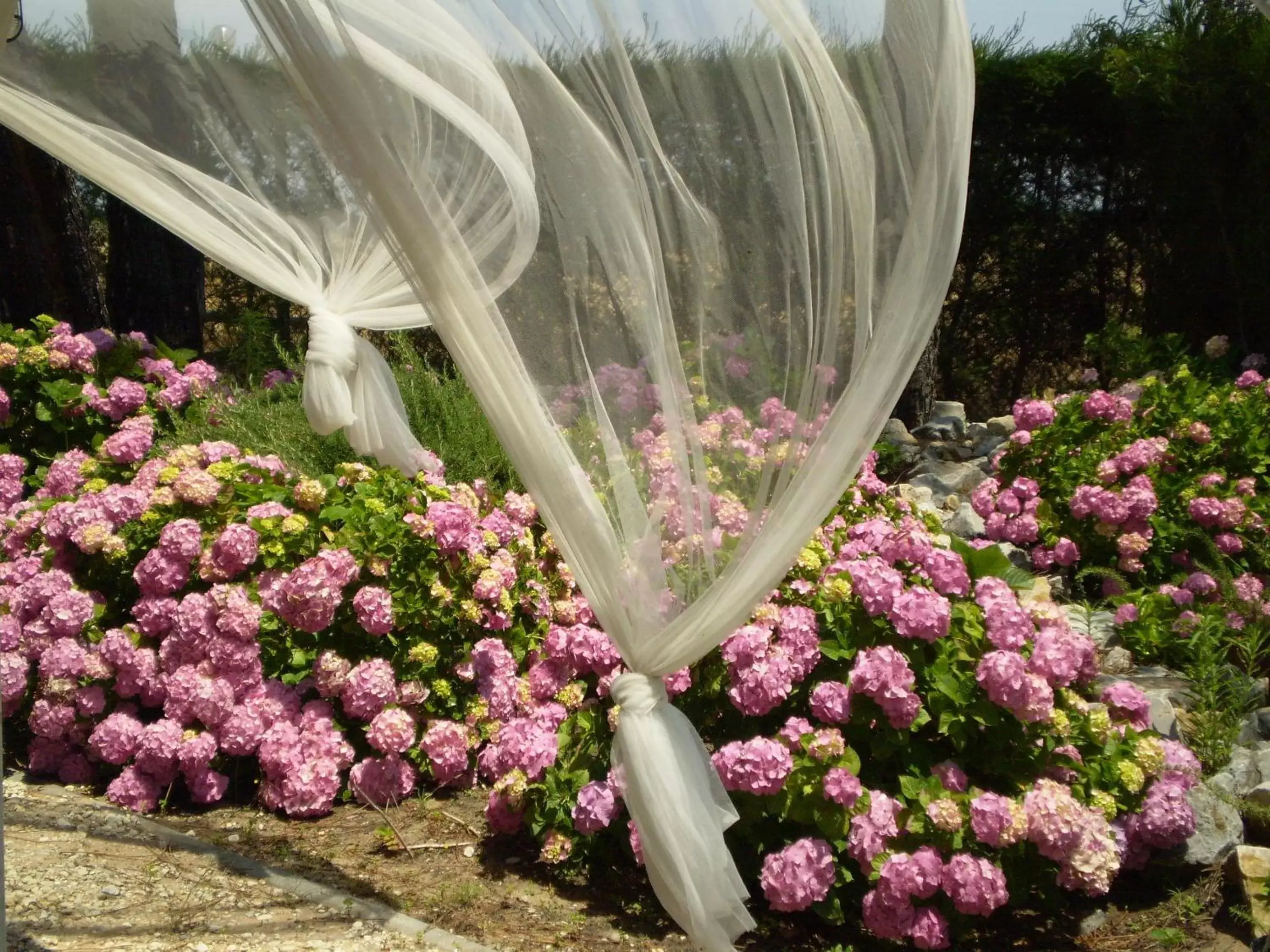 Garden in Hotel Rural Monte da Leziria