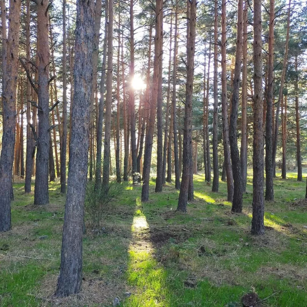 Posada el Campanario