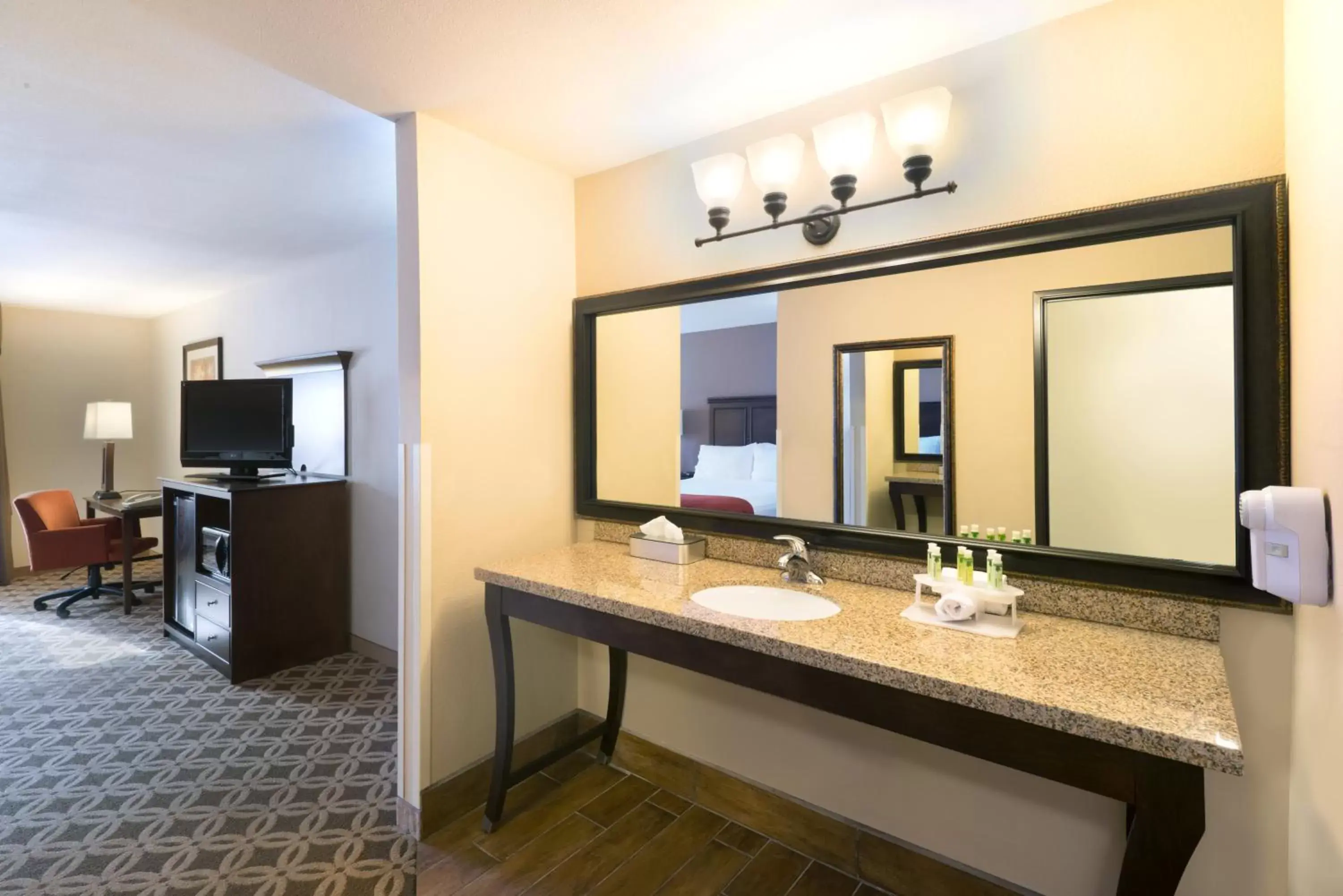 Photo of the whole room, Bathroom in Holiday Inn Express Show Low, an IHG Hotel