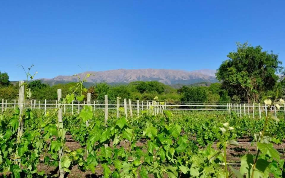 Area and facilities in Finca Cielo Verde