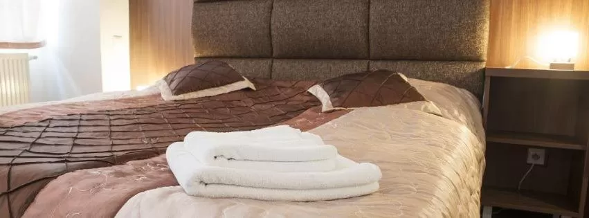 Bed in Hotel Branč, Garni