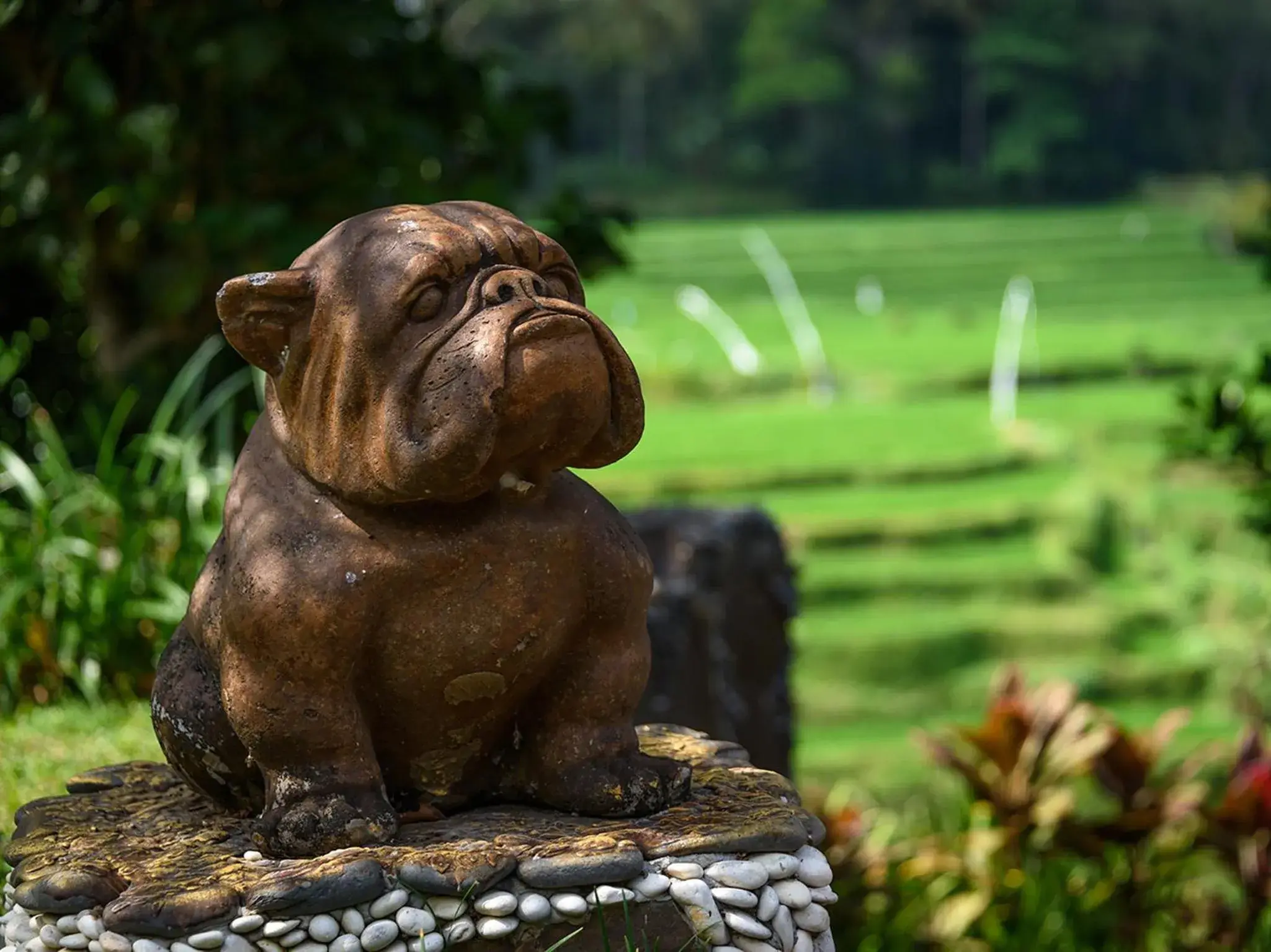 Property building, Other Animals in PERMATA AYUNG PRIVATE ESTATE