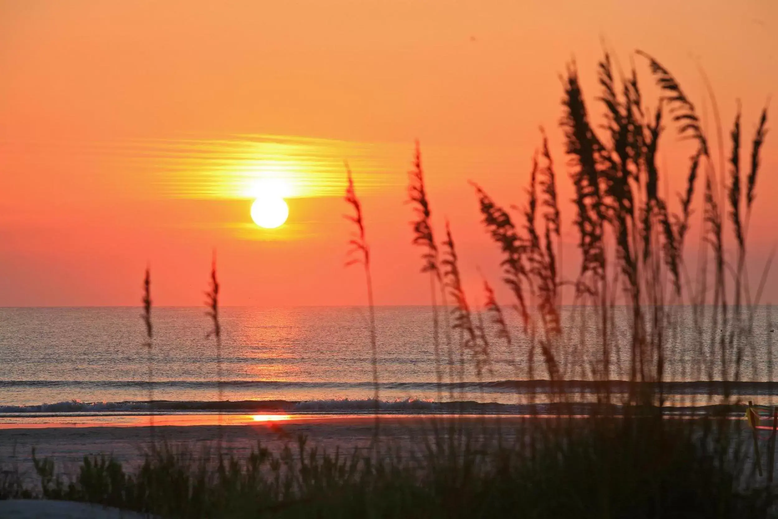 Beach, Sunrise/Sunset in Guy Harvey Resort on Saint Augustine Beach