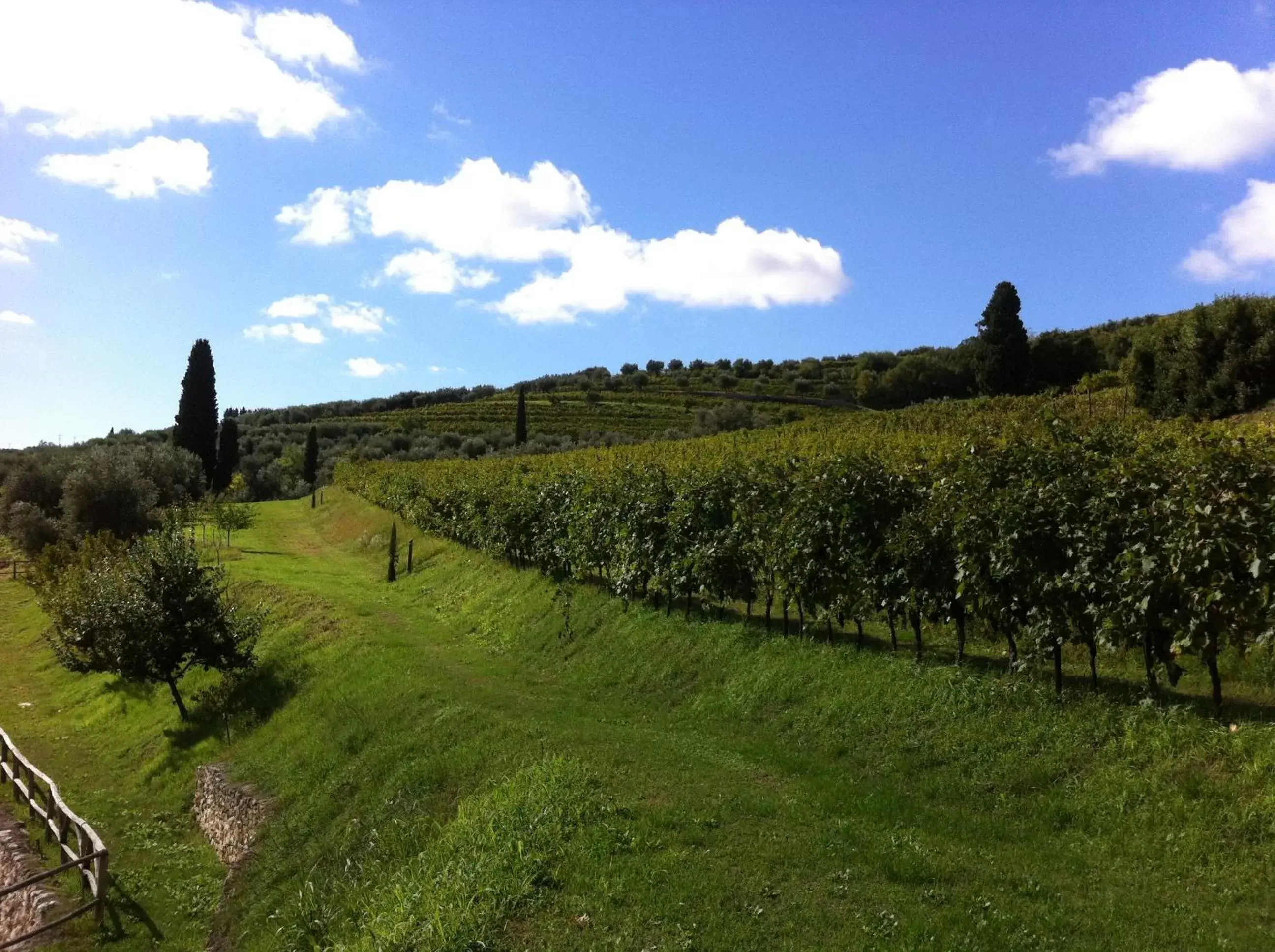 Garden view in Costa degli Ulivi