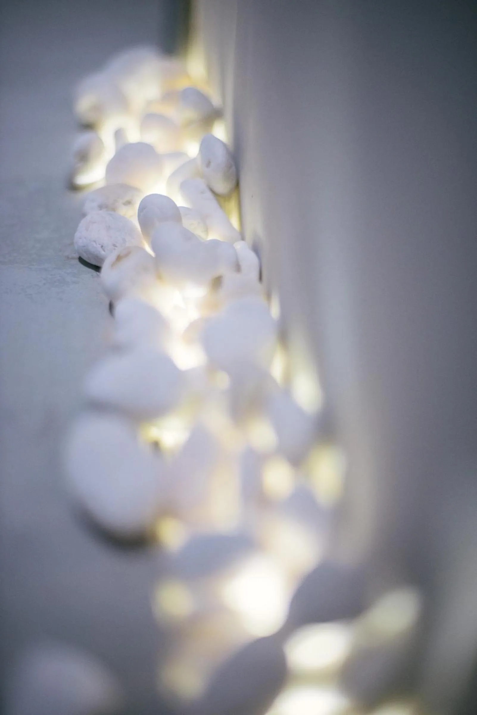 Other in TIRAS Patong Beach Hotel