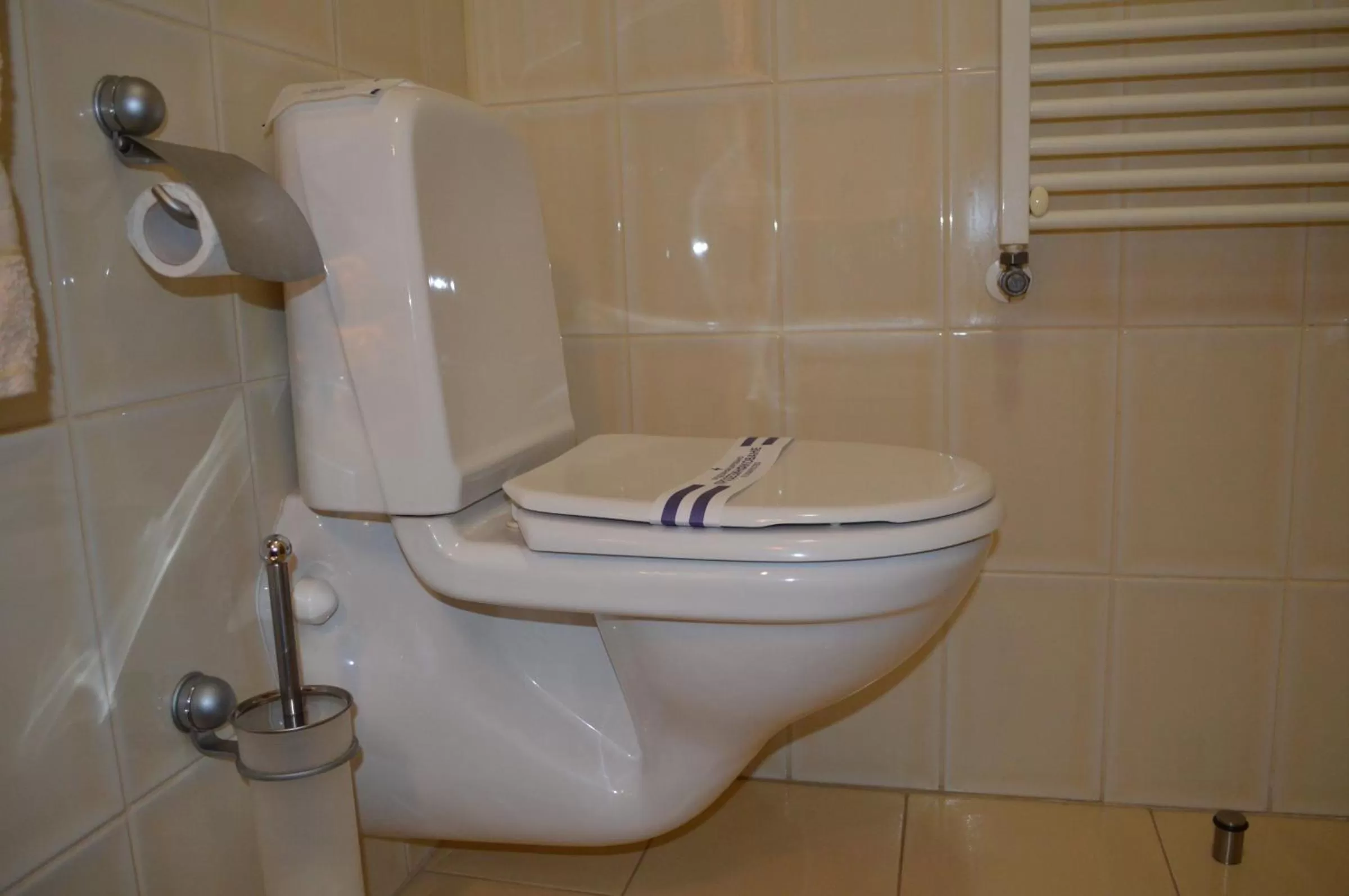 Toilet in Hotel Complex Bahus