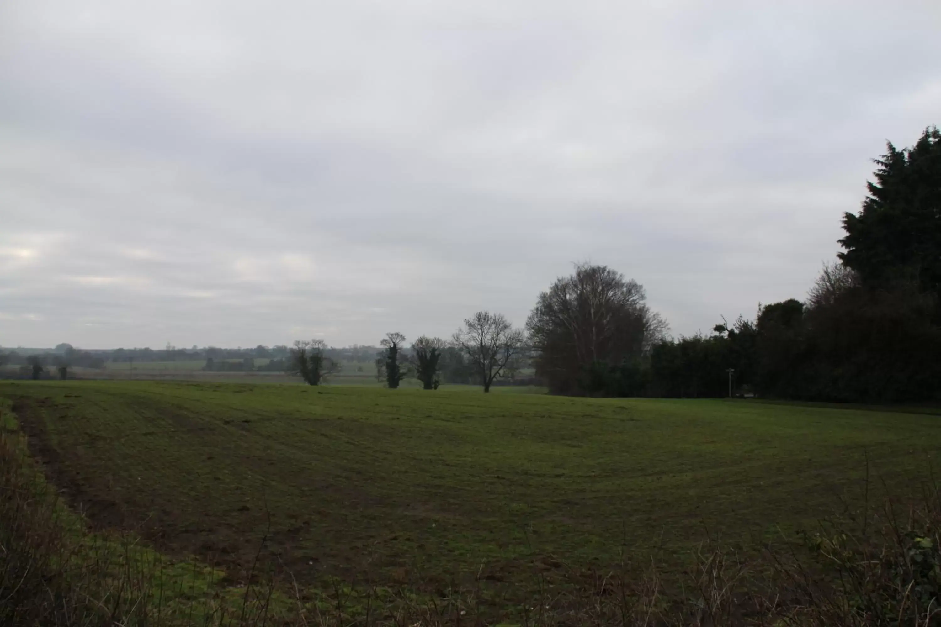 Natural landscape in The Red Lion Inn