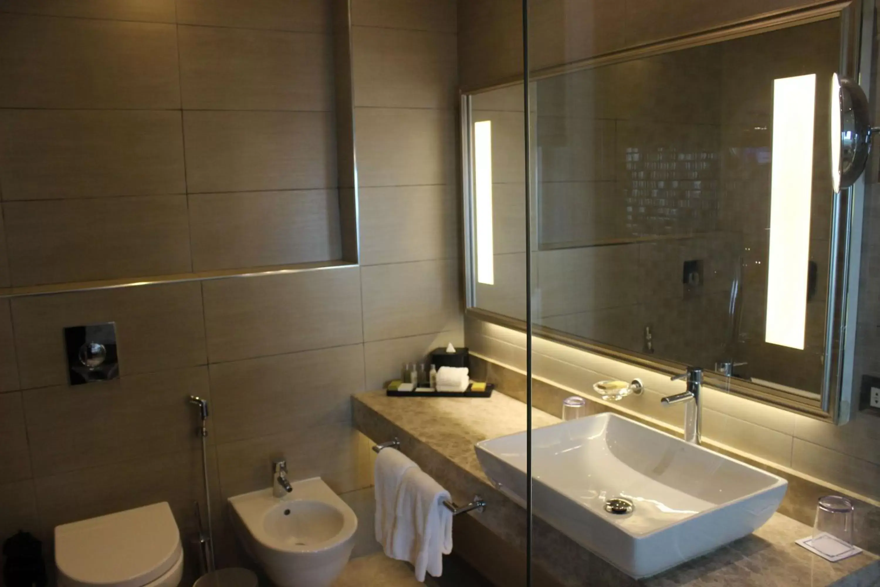 Bathroom in Hilton Amman