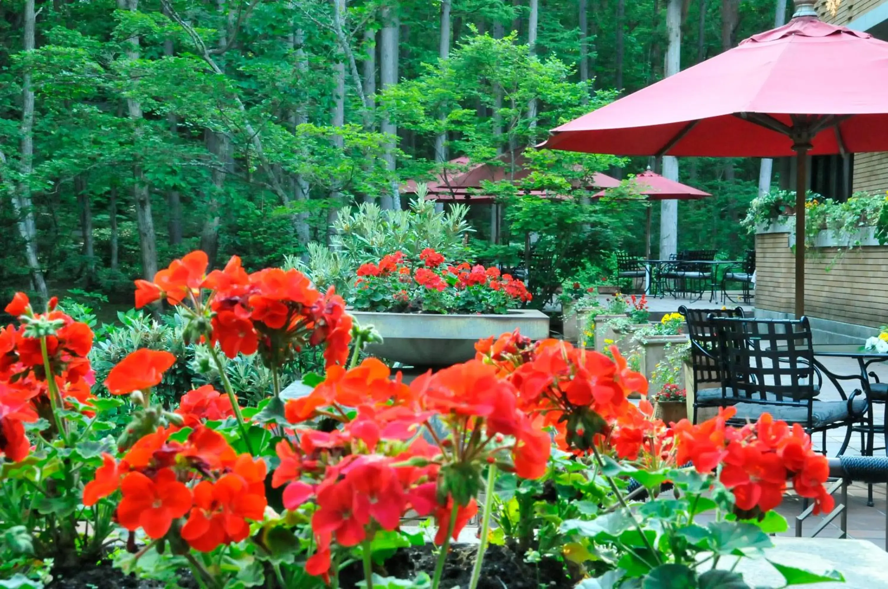 Garden in Hakuba Resort Hotel La Neige Higashikan