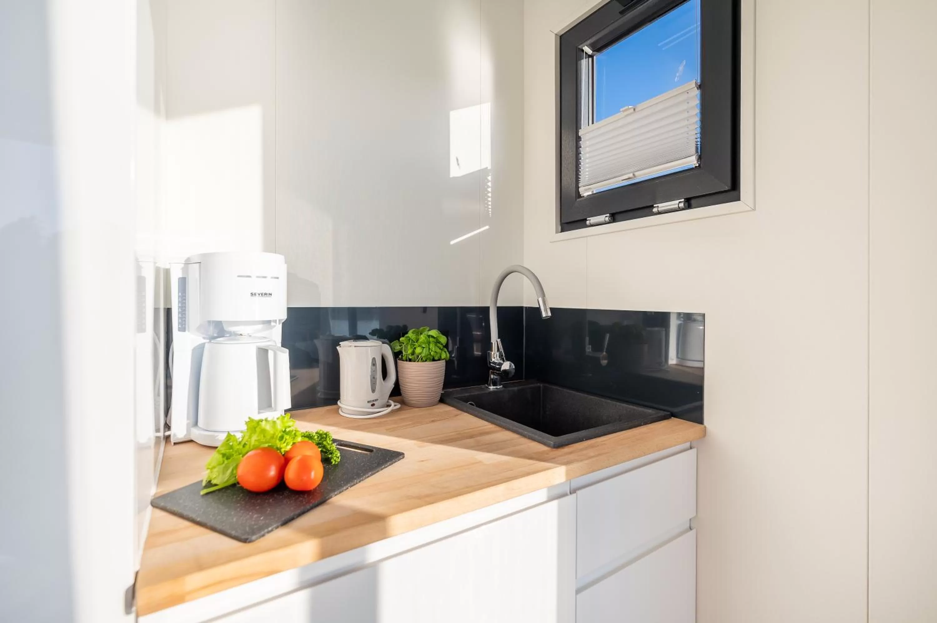 Kitchen or kitchenette in Marina Martinshafen