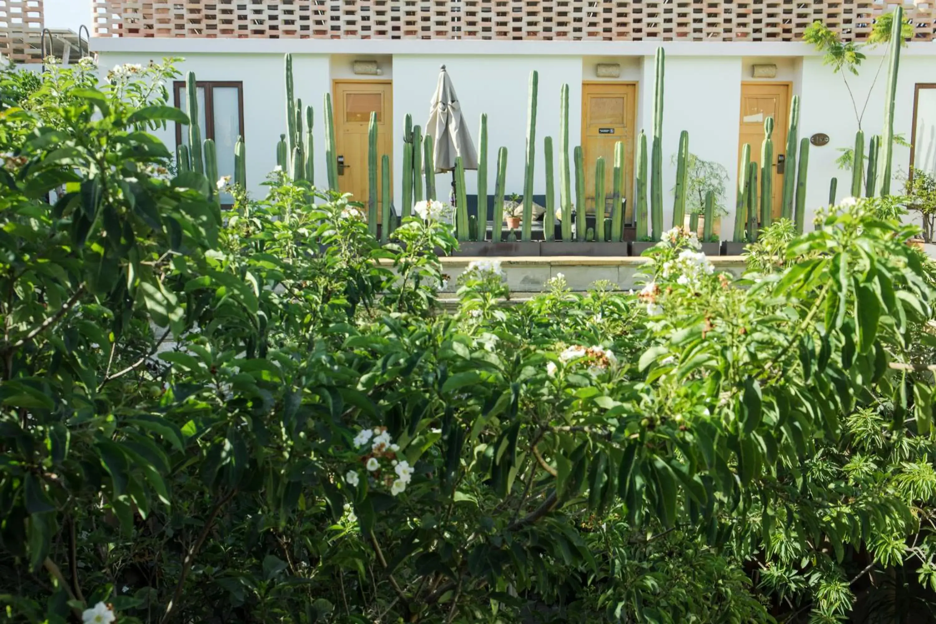 Garden in Casa De Sierra Azul