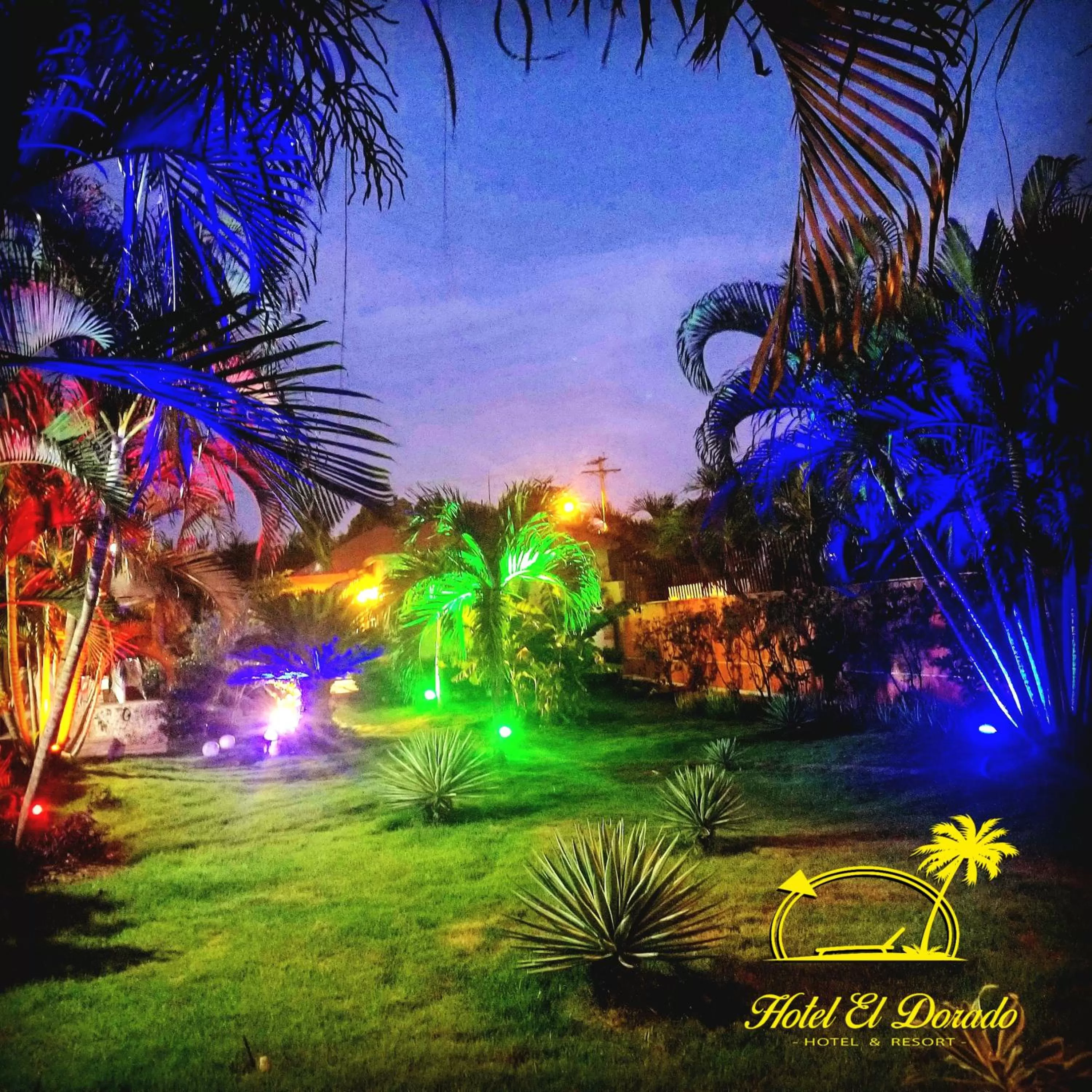 Garden in Hotel El Dorado