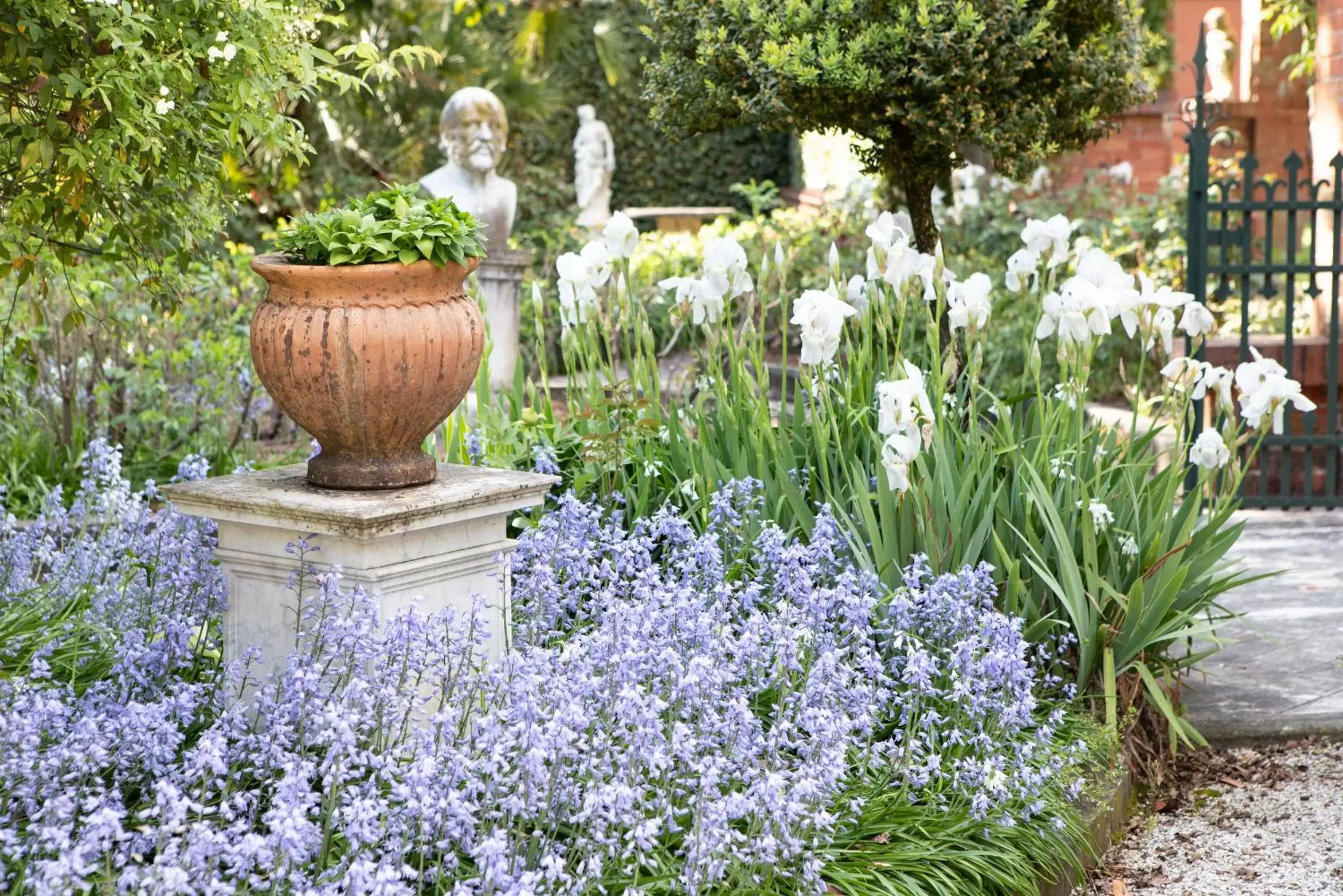 Garden in Villa Belverde Boutique Hotel